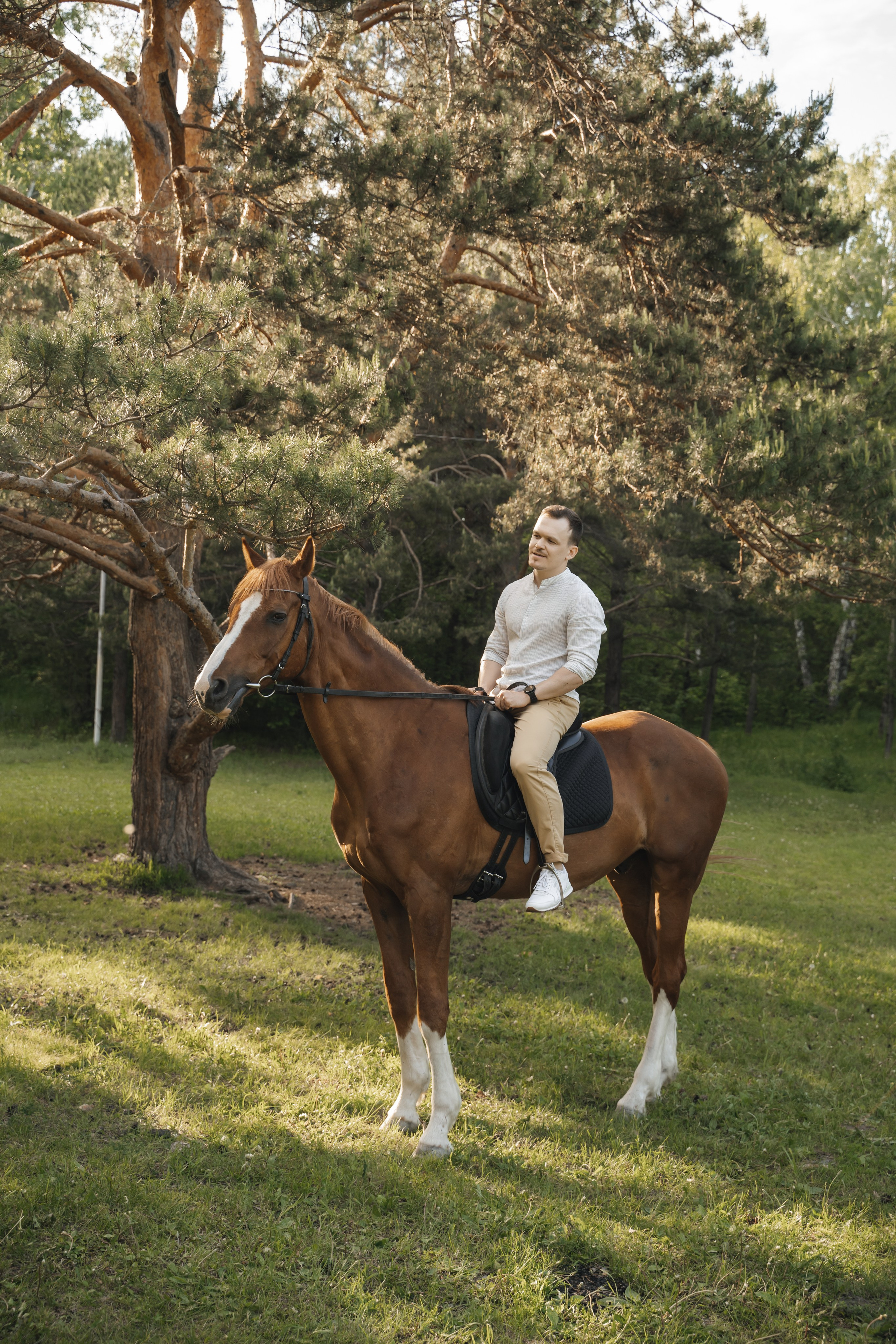 Семейная история с лошадьми. Главная