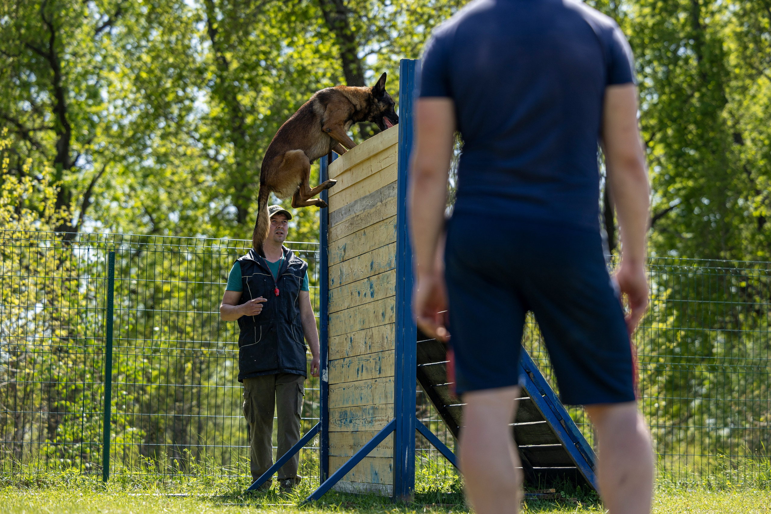 Испытания по мондьорингу в Нижнем Новгороде. Фотограф-анималист Анна Маринич