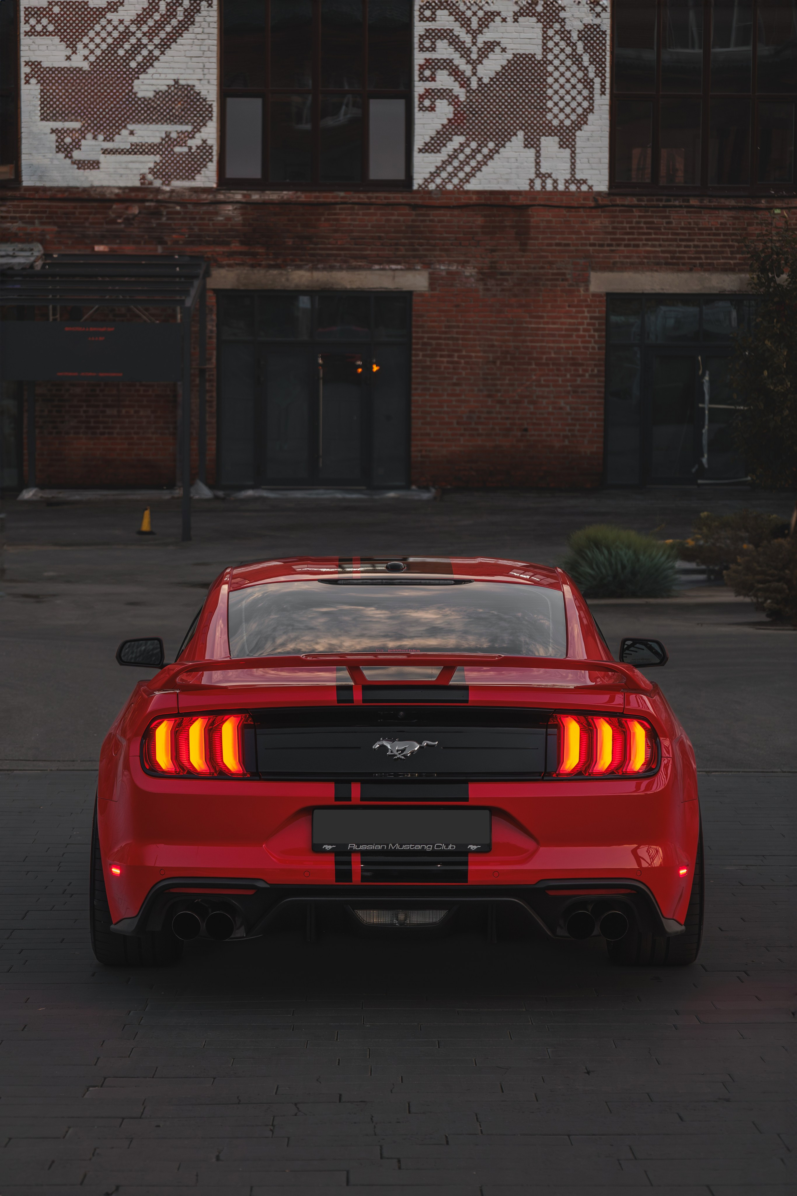 Mustang. Мелехов Дмитрий|Фотограф|Видеограф