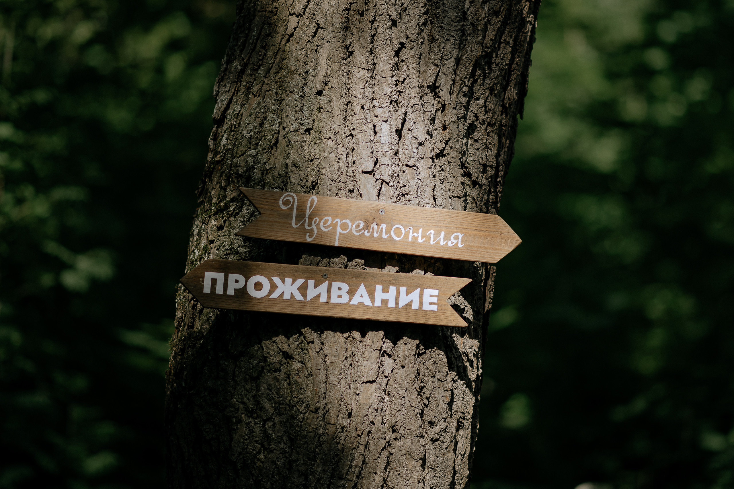 Свадебная фотосессия на площадке Forest Dew. Свадебный фотограф Москва — Сергей и Татьяна