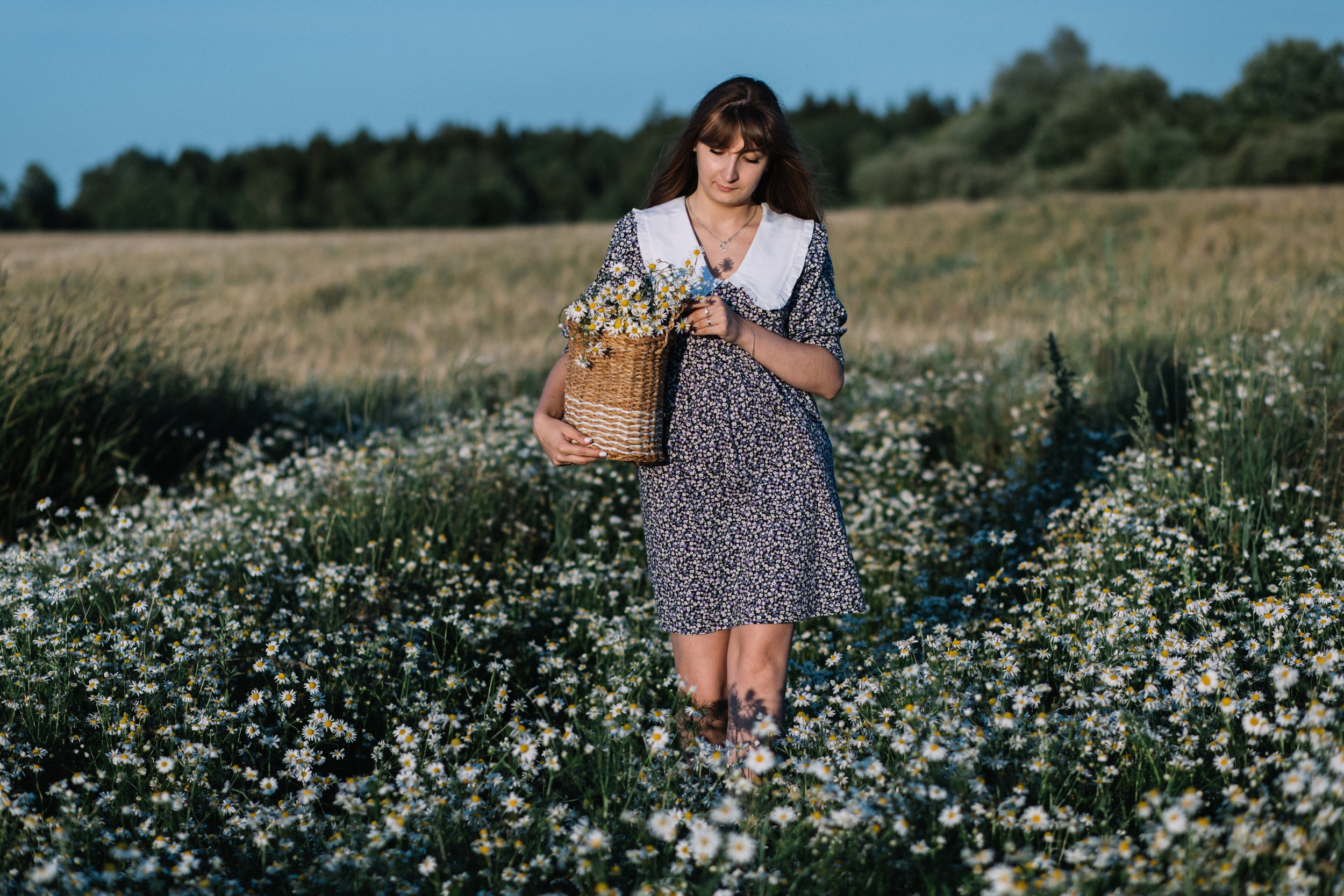 Закат. Свадебный и семейный фотограф Витебск
