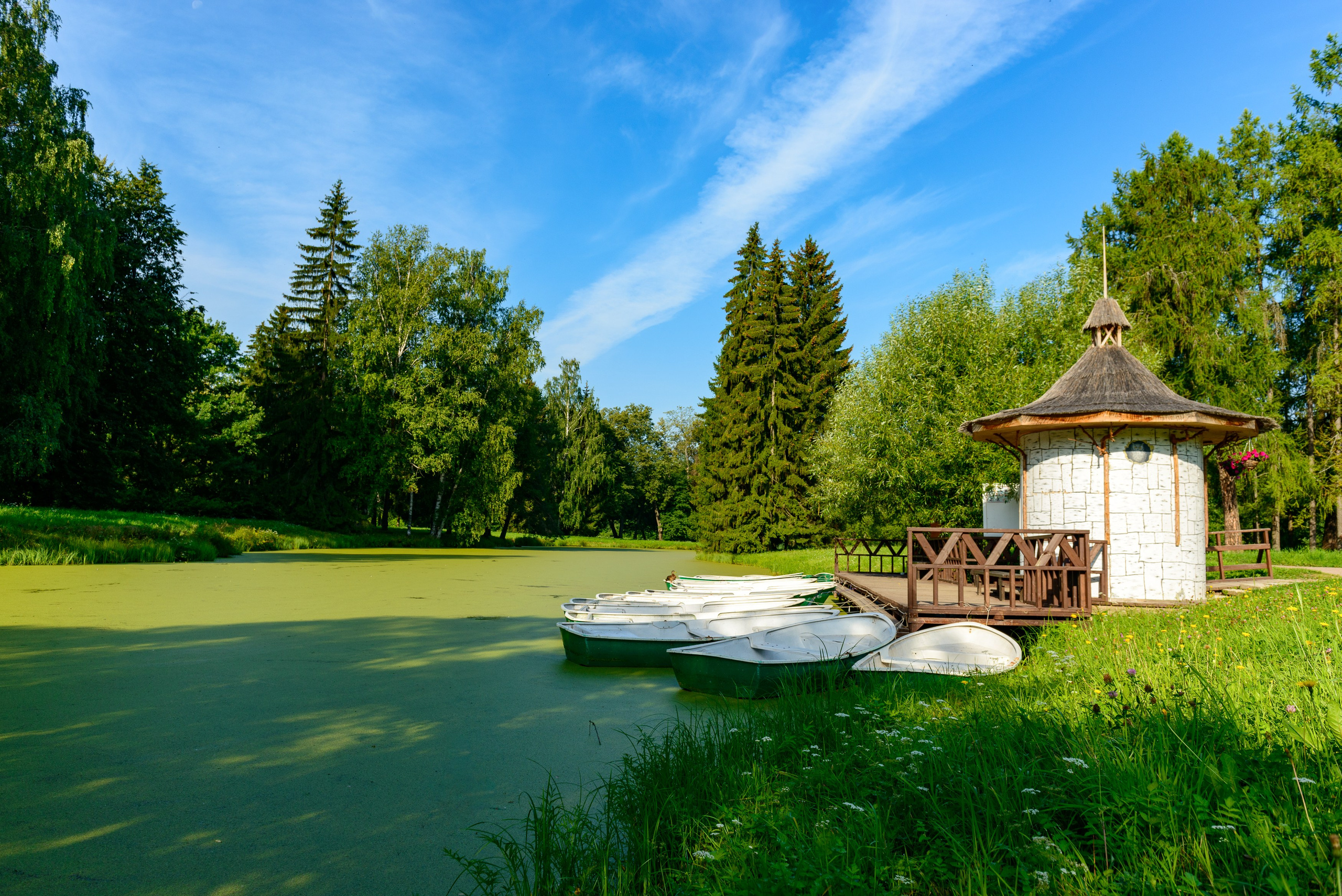 SAINT PETERSBURG | SUBURBS. Personal website of photographer Dmitry Raikin