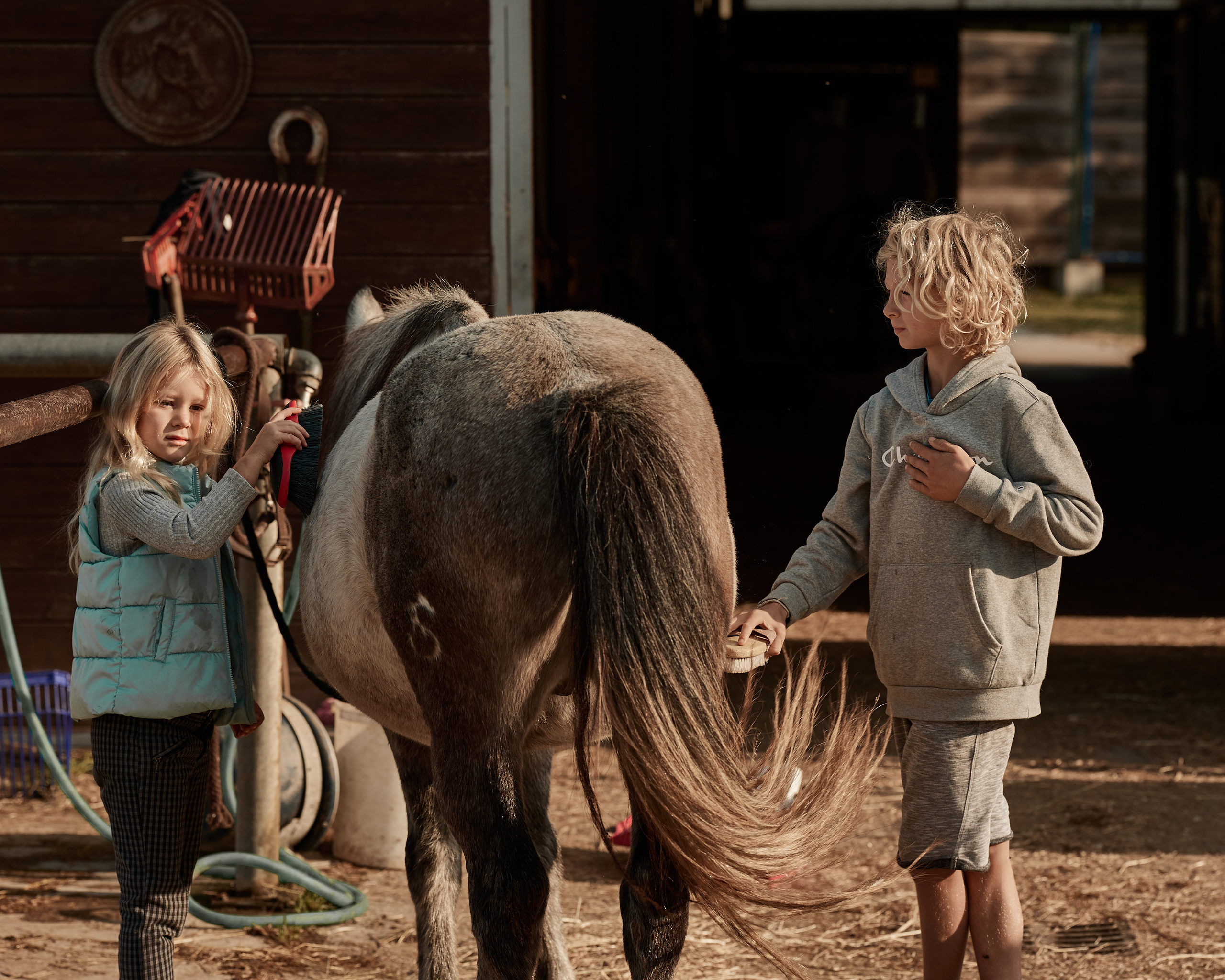 Reportage di bambini e pony. Fotografo di famiglie e ritrattista in Italia (Toscana)