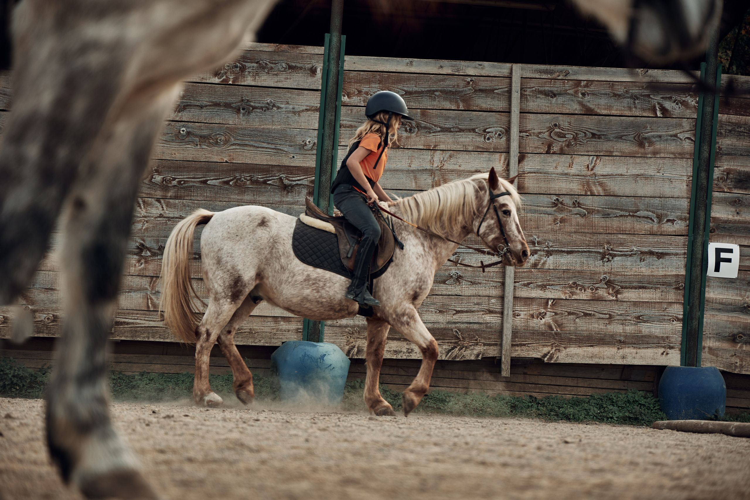 Reportage di bambini e pony. Fotografo di famiglie e ritrattista in Italia (Toscana)