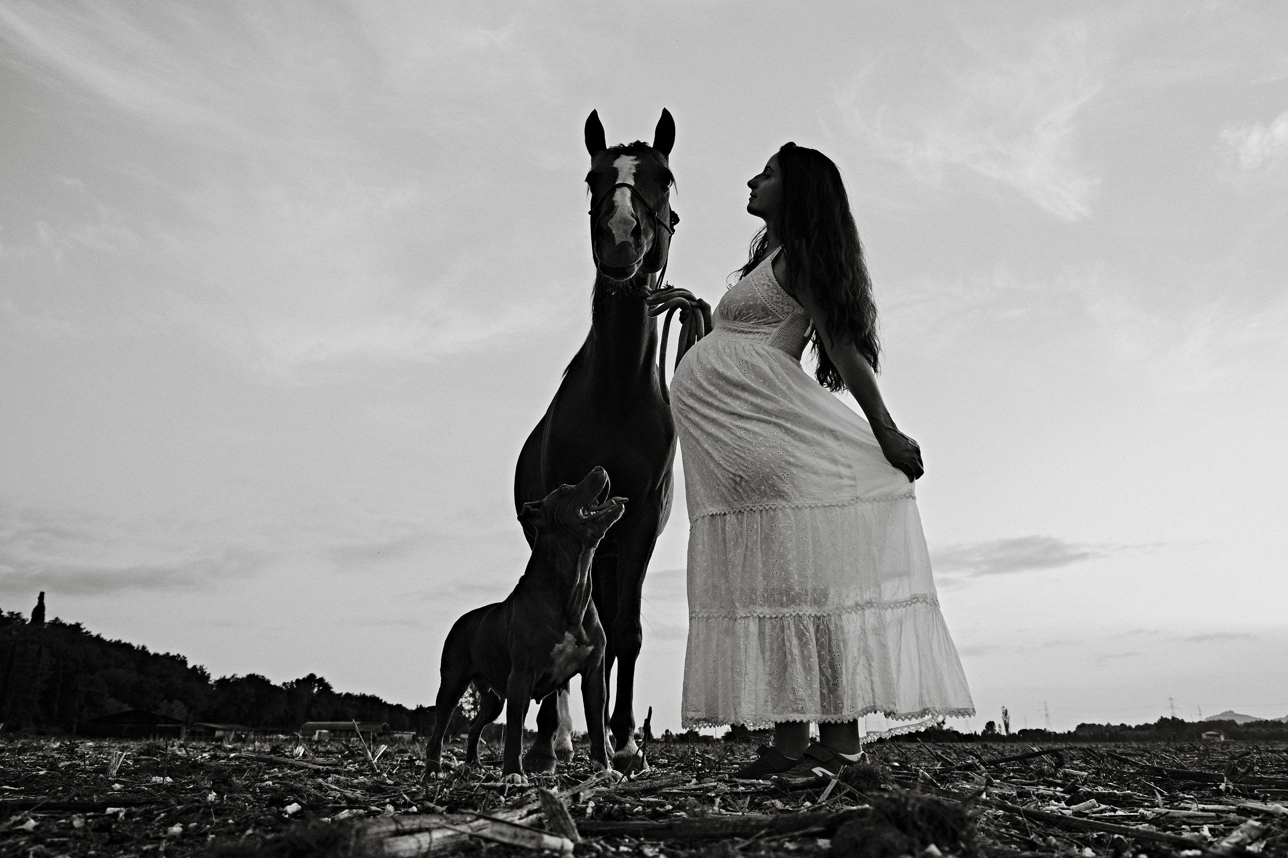 Gravidanza. Fotografo di famiglie e ritrattista in Italia (Toscana)