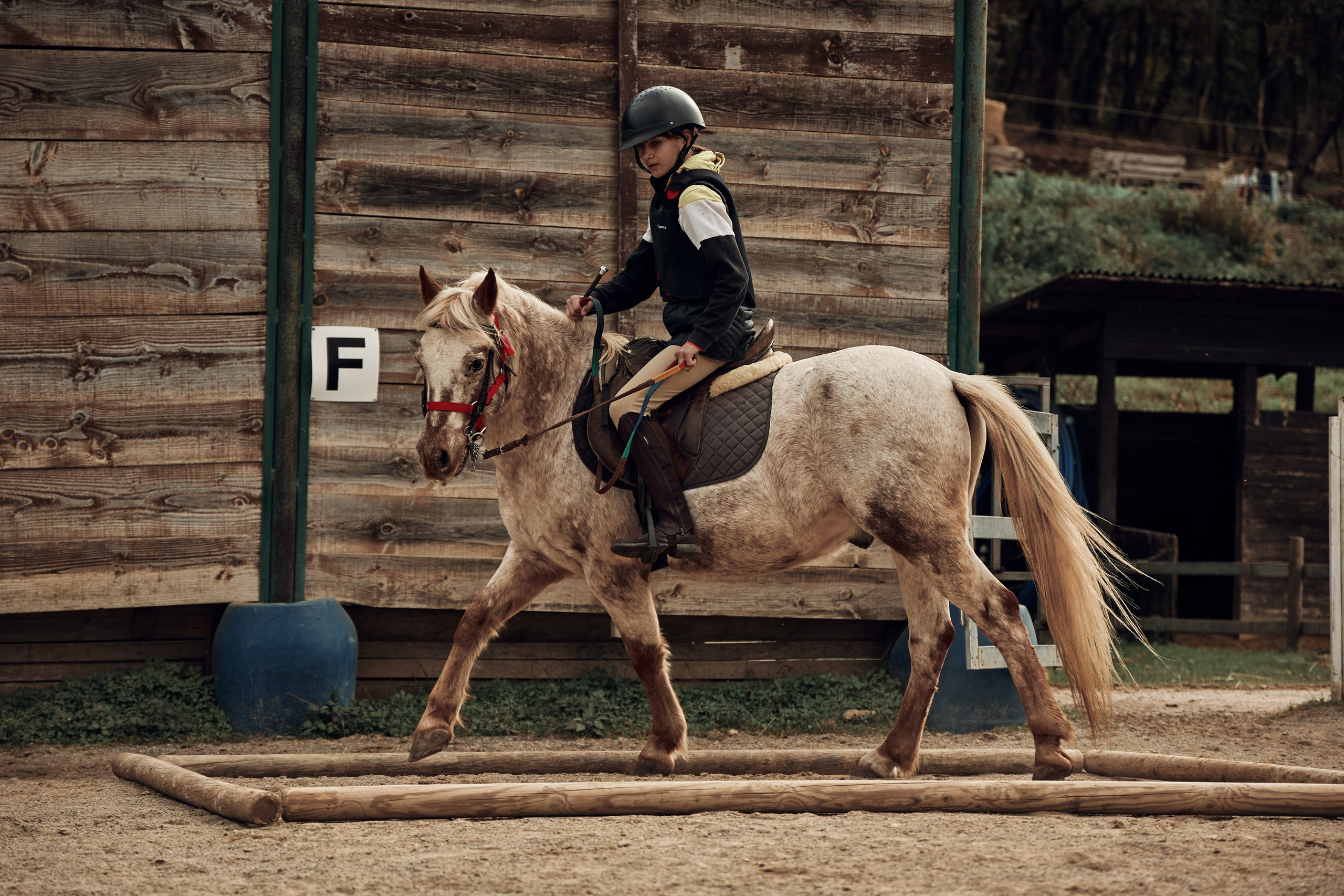 Reportage di bambini e pony. Fotografo di famiglie e ritrattista in Italia (Toscana)