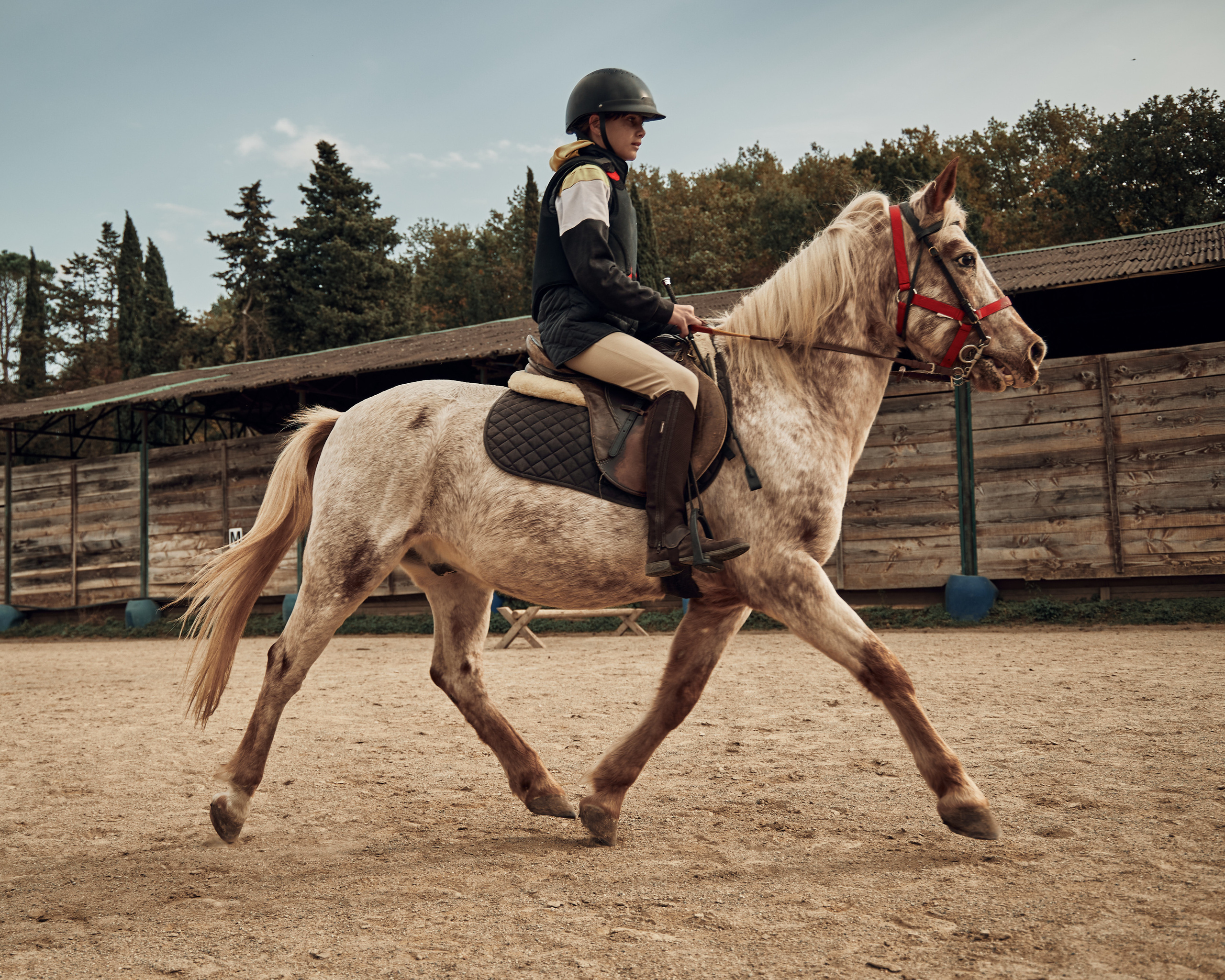 Reportage di bambini e pony. Fotografo di famiglie e ritrattista in Italia (Toscana)