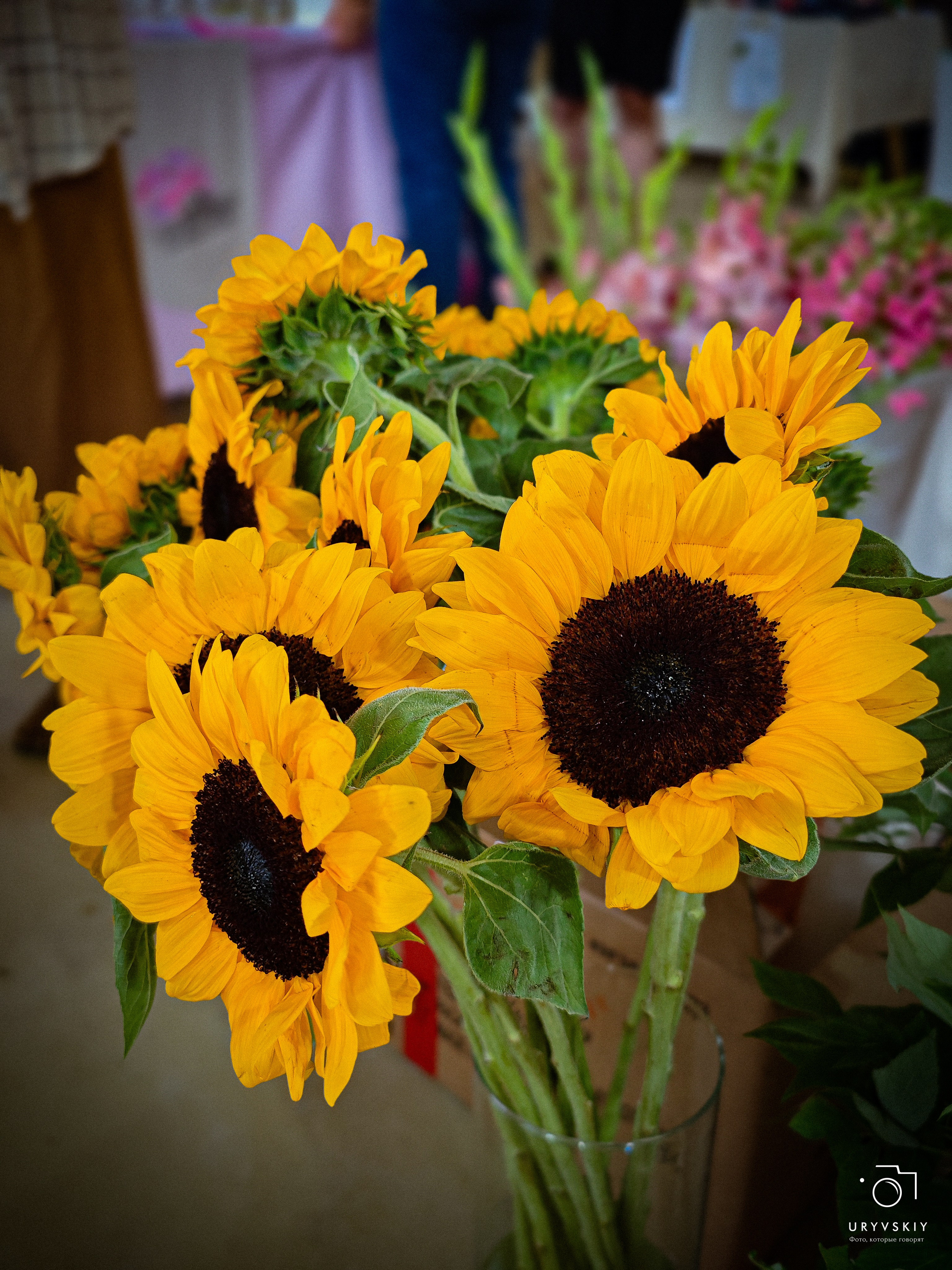 Арт пространство «Хлебзавод». Игорь Урывский. Фотограф Красноярск