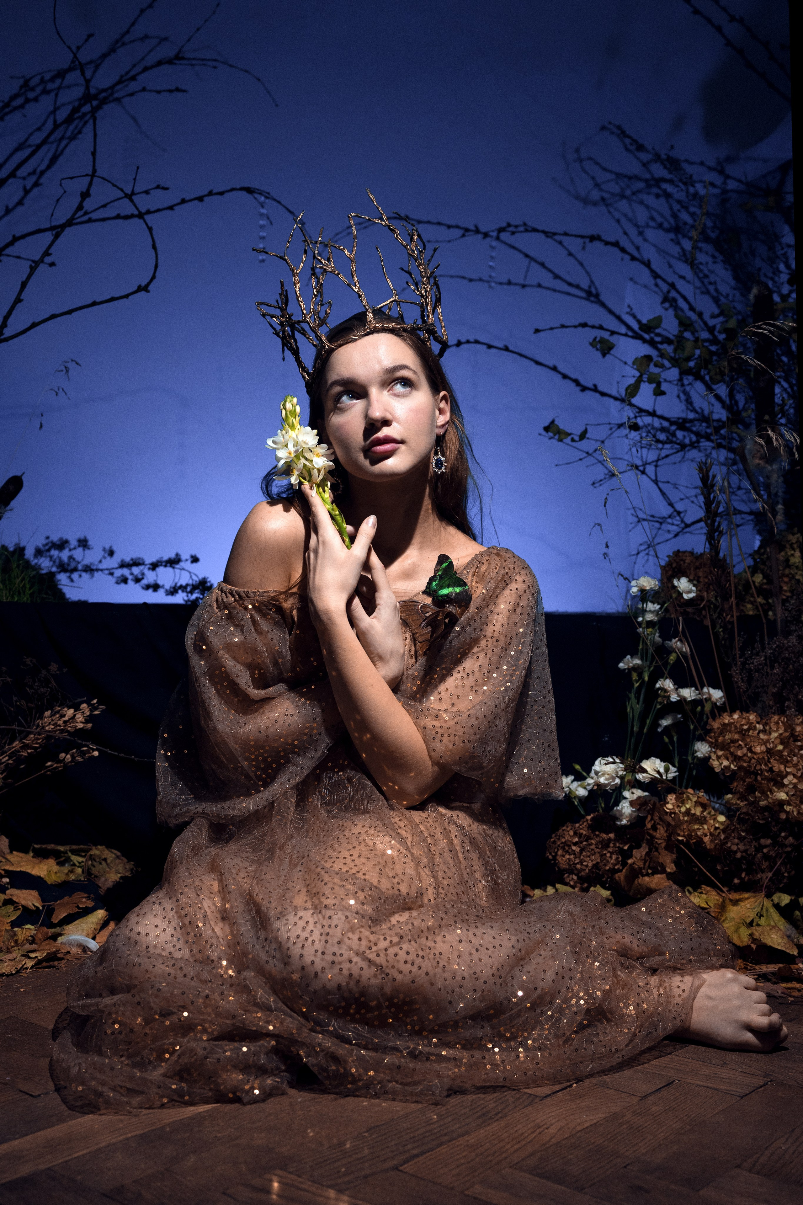 Фейский Альбом