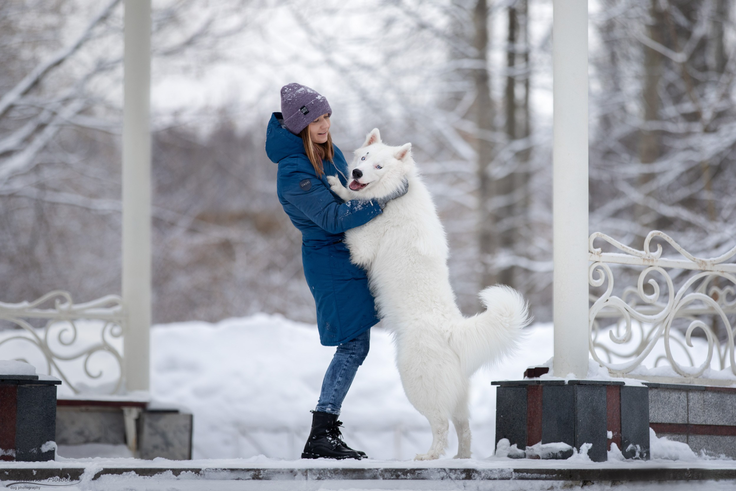 Фотопрогулка в парке Измайлово с якутской лайкой и его хозяйкой. Фотограф-анималист в Москве и Московской области Татьяна Фролова