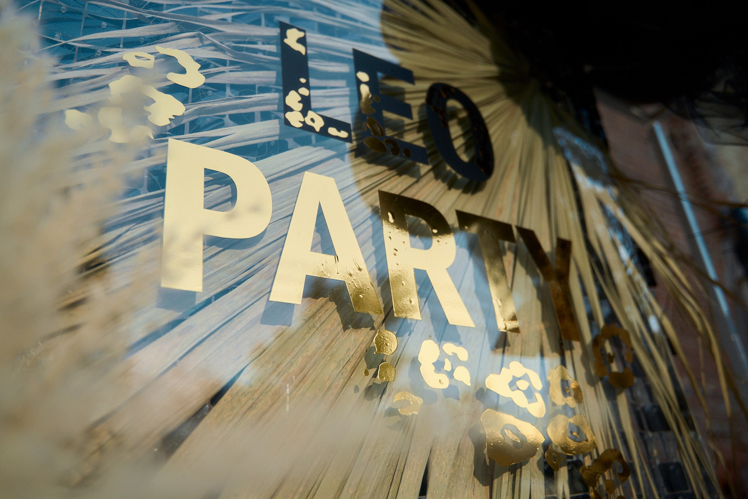 LEO party в Торжке. Павленко Дмитрий фотограф и видеограф в Торжке