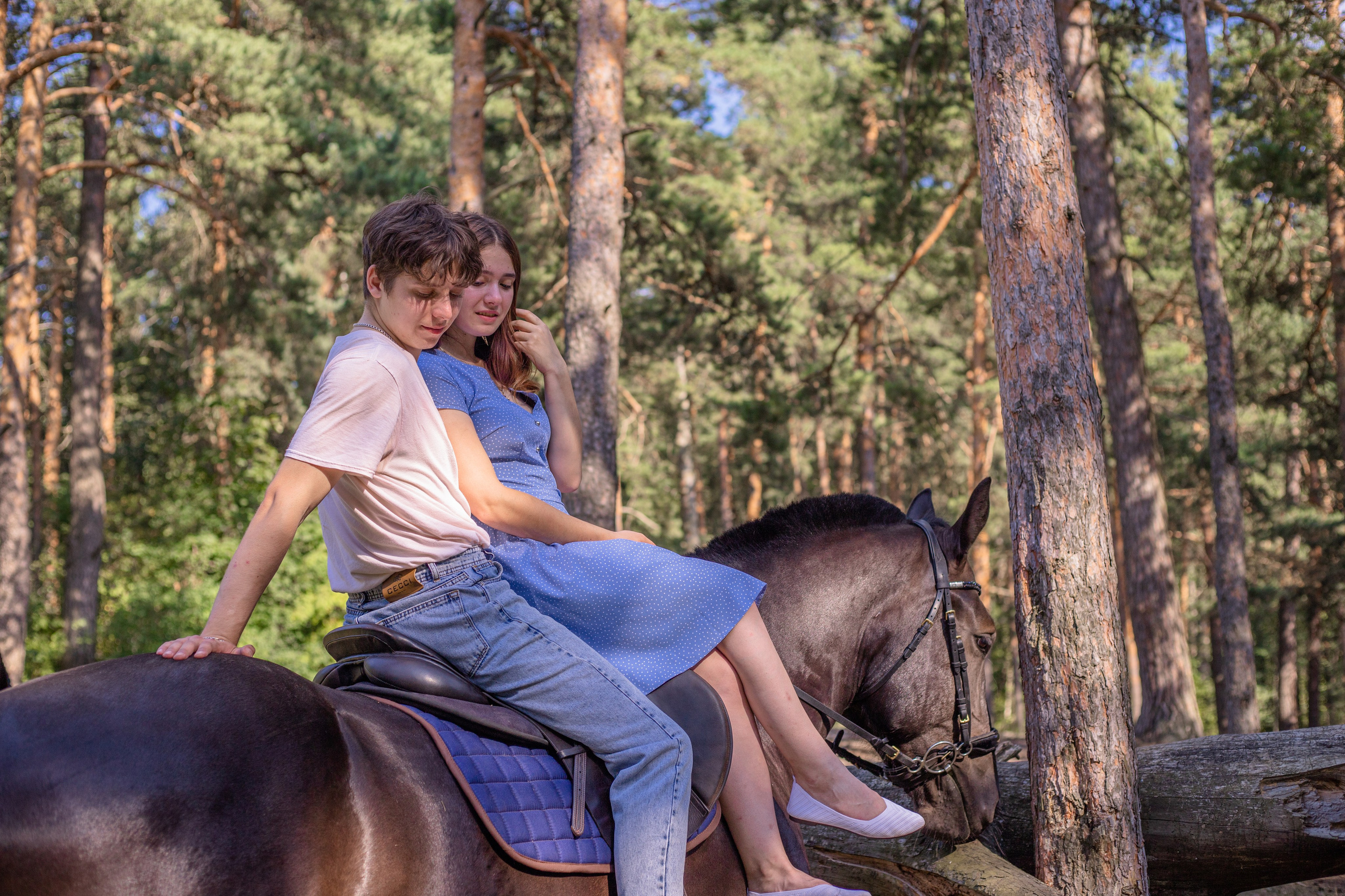 Романтическая прогулка. Фотосессии с лошадьми в Москве и МО