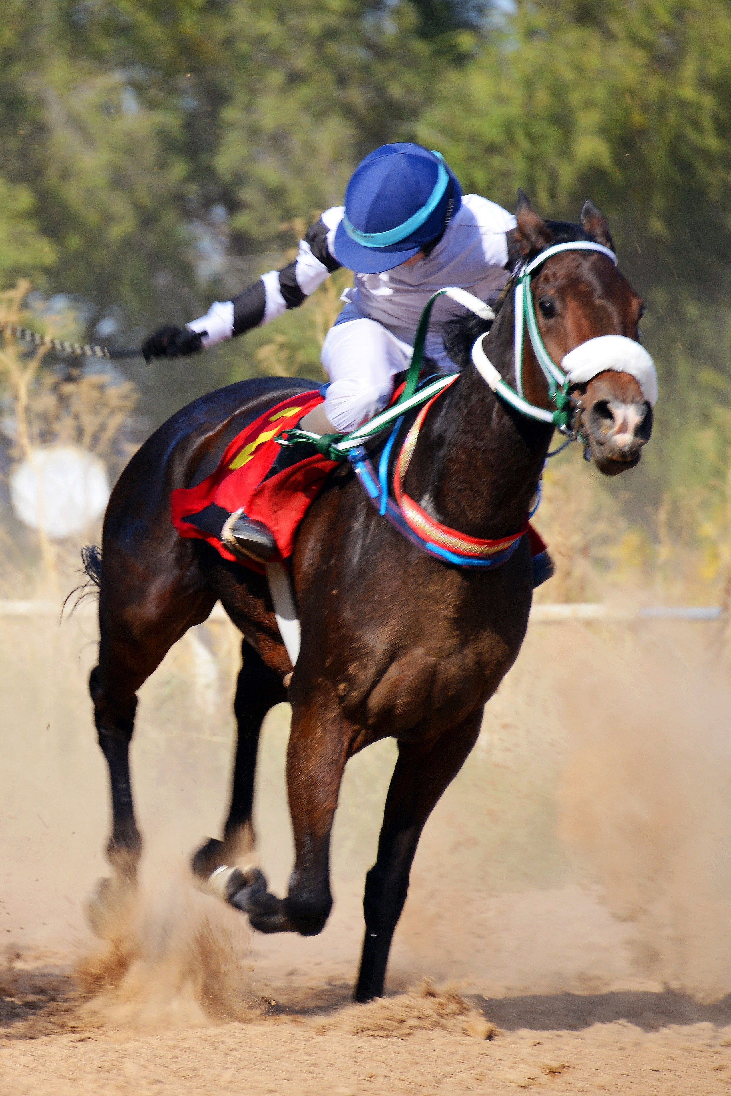 Скачки. Фотосъёмка. Фотограф Сергей Авдеев-семейный и детский фотограф в Алматы