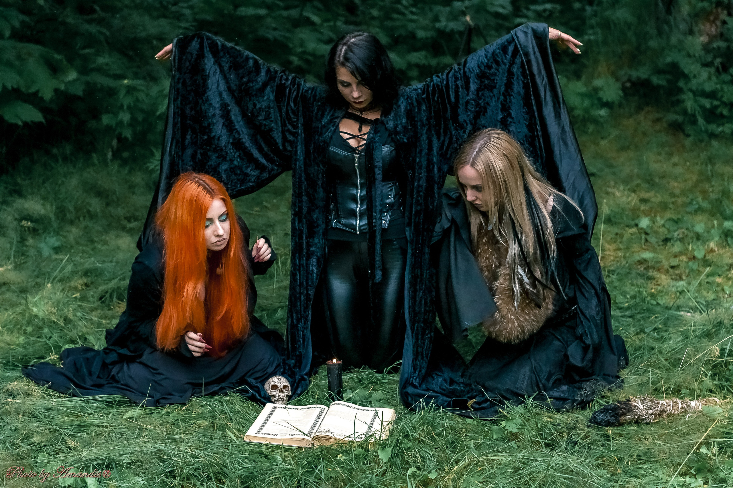 The witches. Репортажная съемка в Москве и области. Анималистика