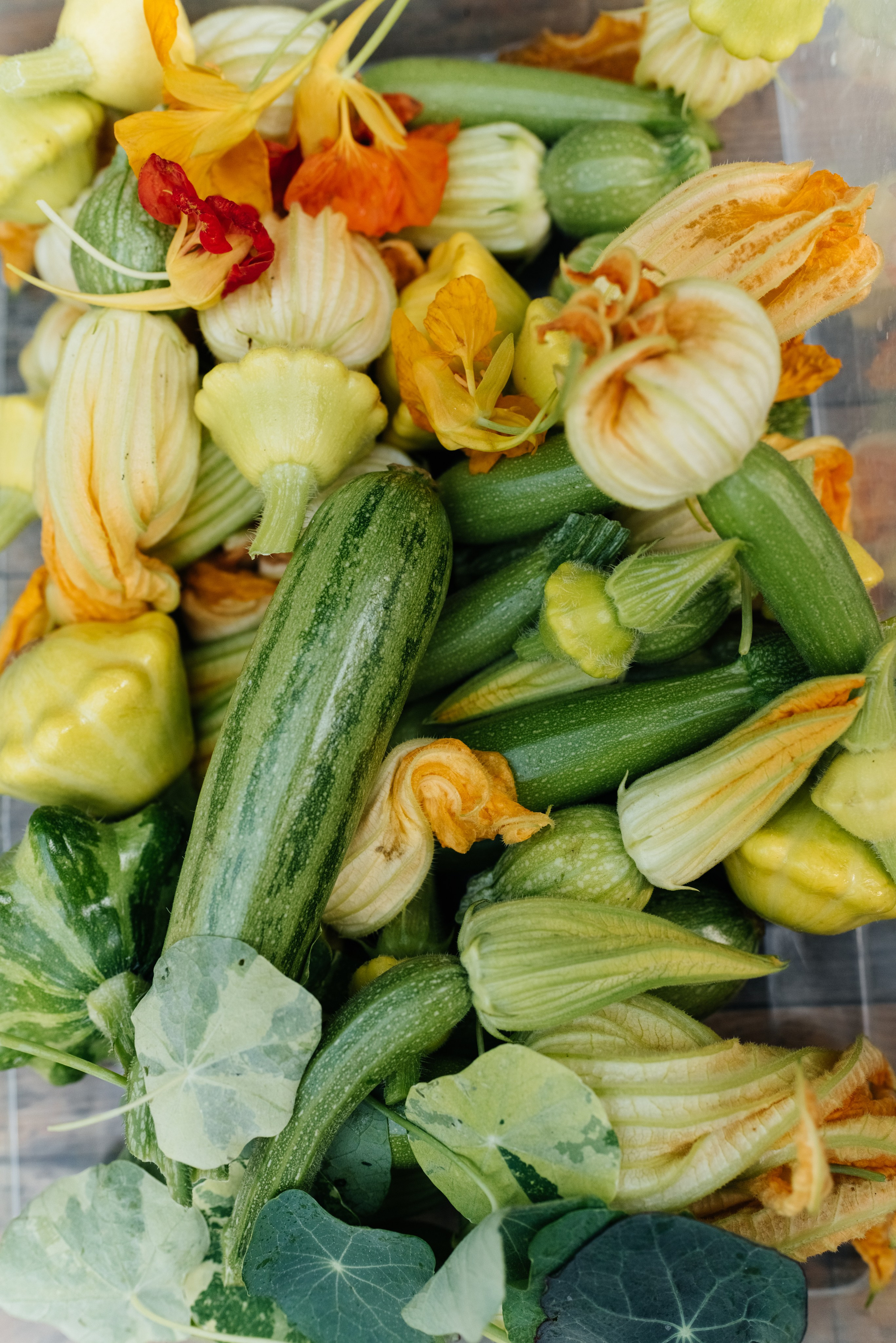 Трапези. Мержаново — гастроужин. Фотограф Елена Кучук