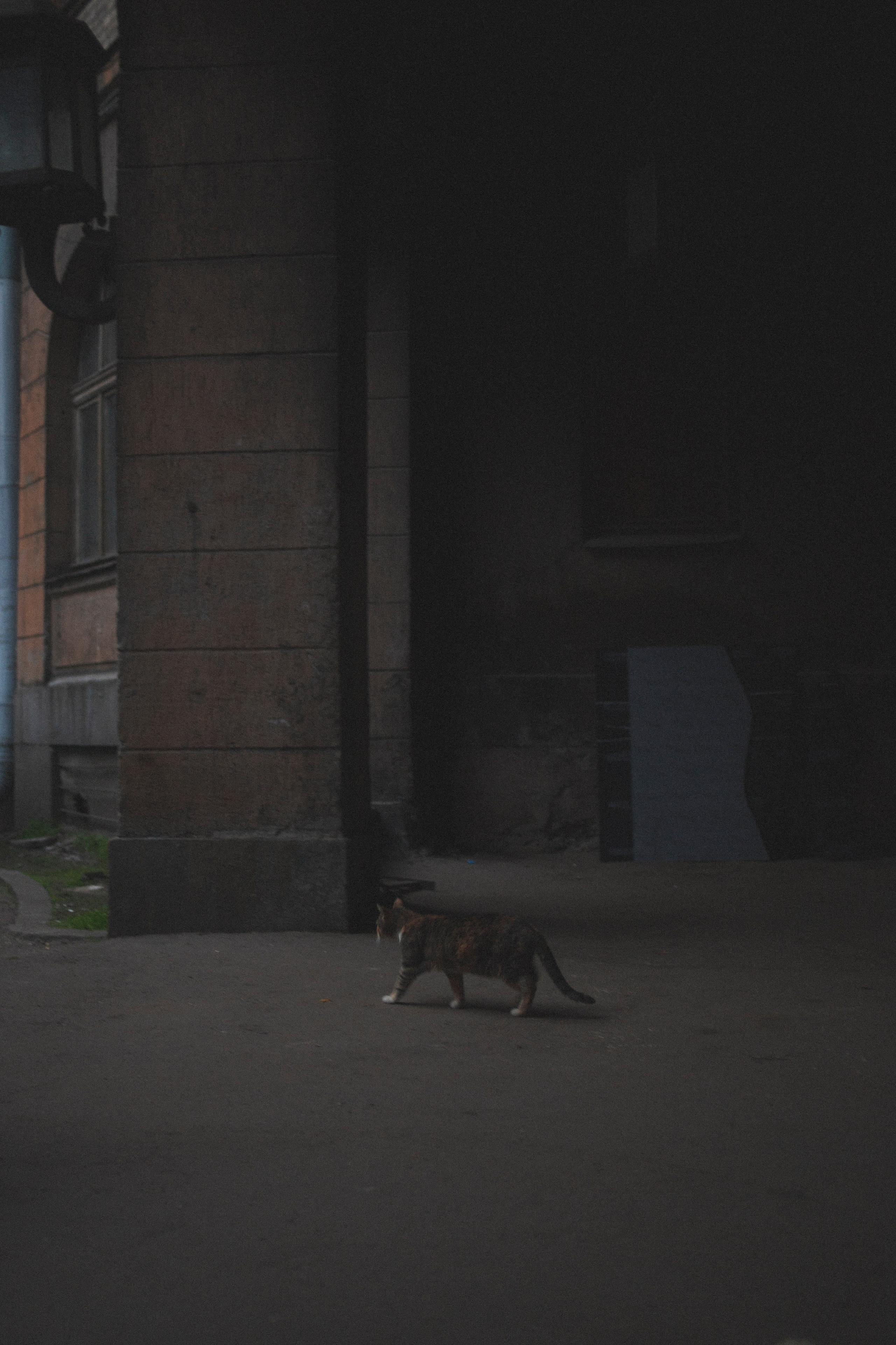 Мария. Фотограф Адигамова Юлия в Петербурге