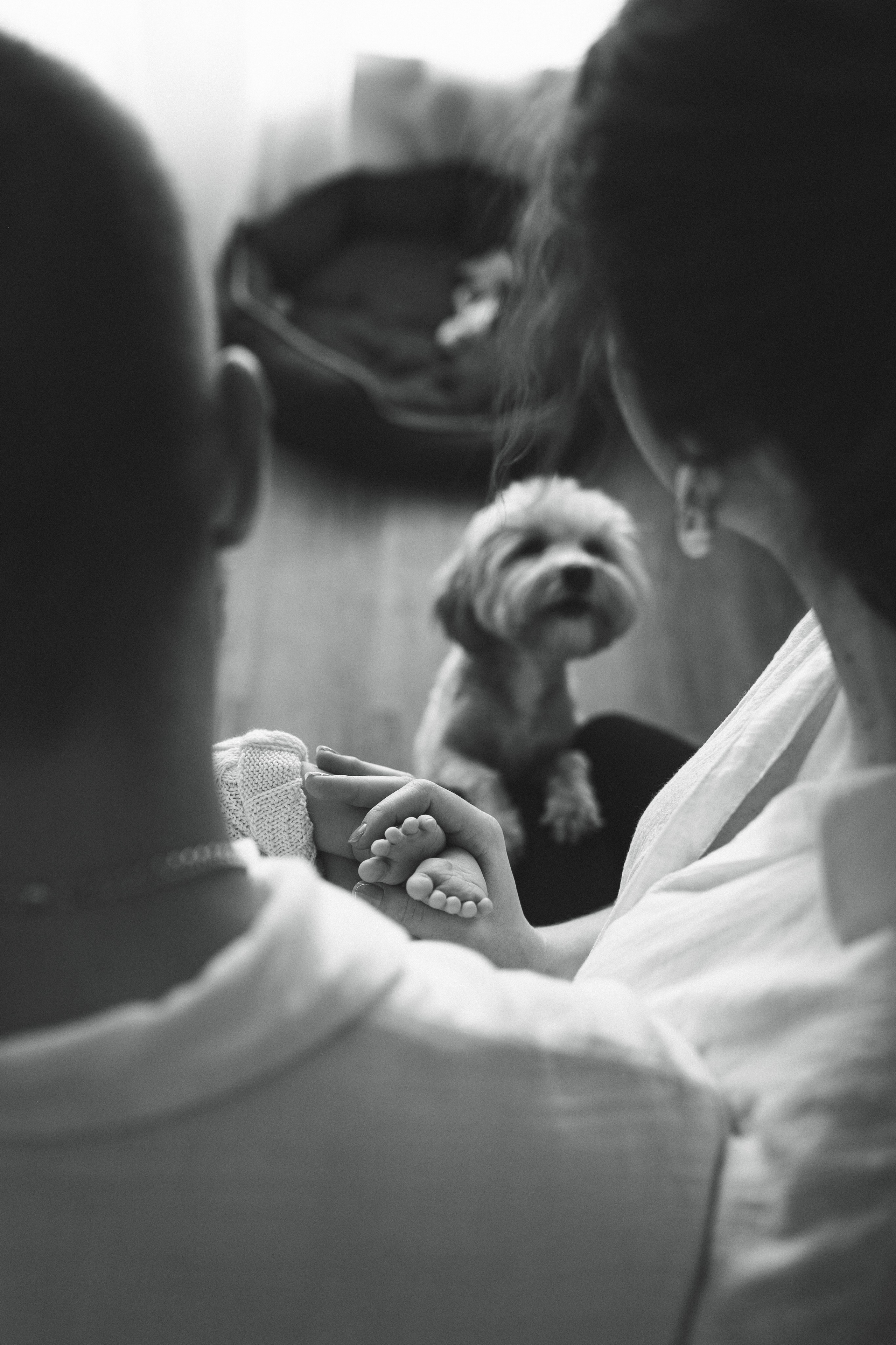 Миша | 11 дней. Кобякова Мария. Фотограф новорождённых и детей до года город ИРКУТСК