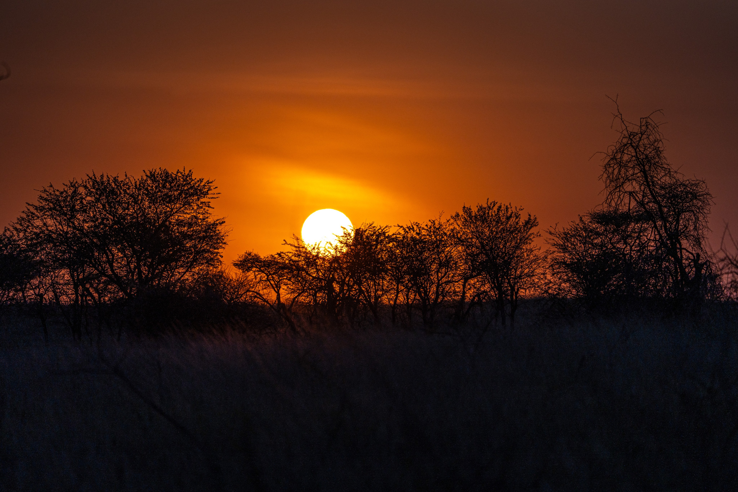 Танзания, сафари, 2025. Творческие сьемки