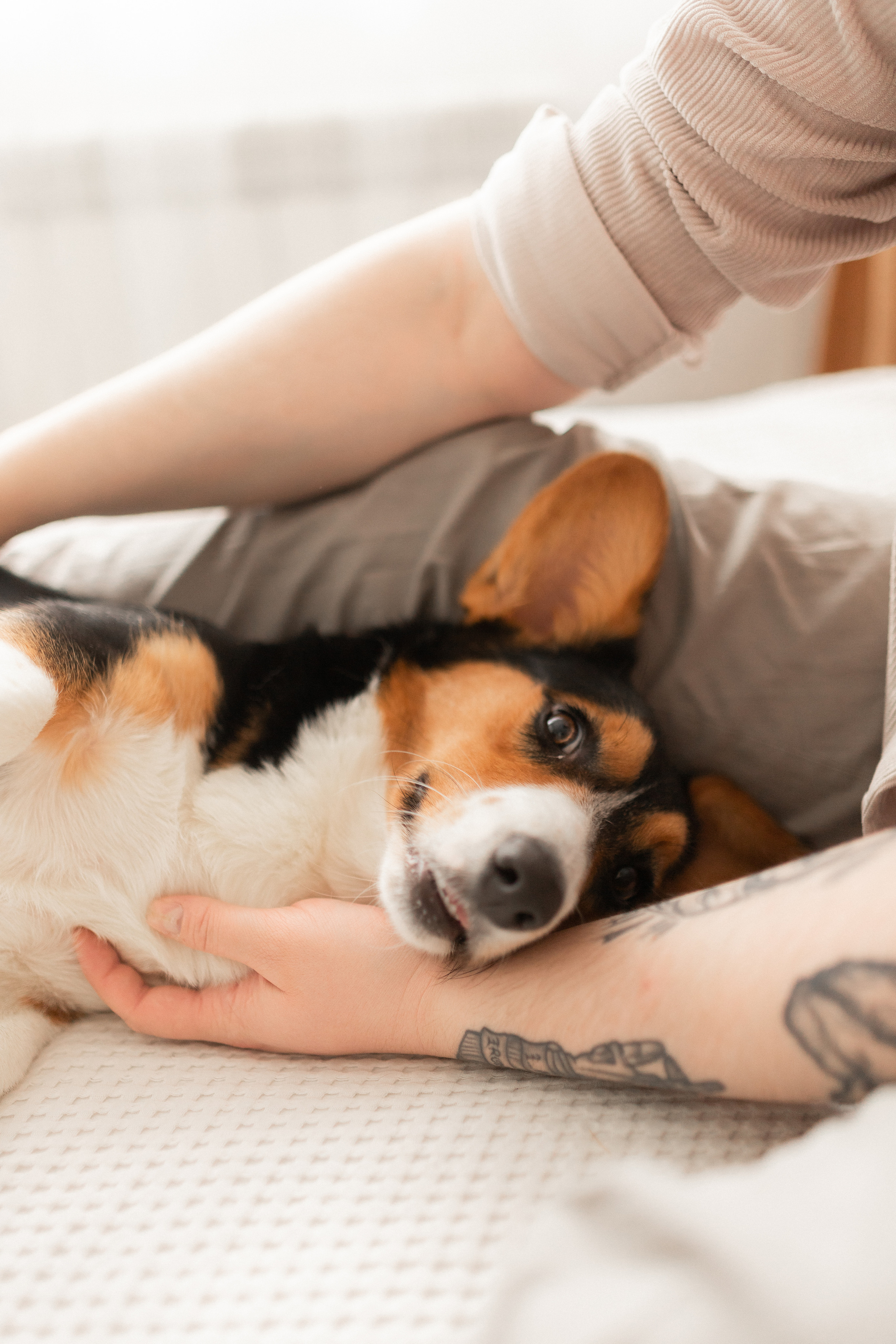 Маленькое чудо. Семейный фотограф в Москве Анна Пожарская