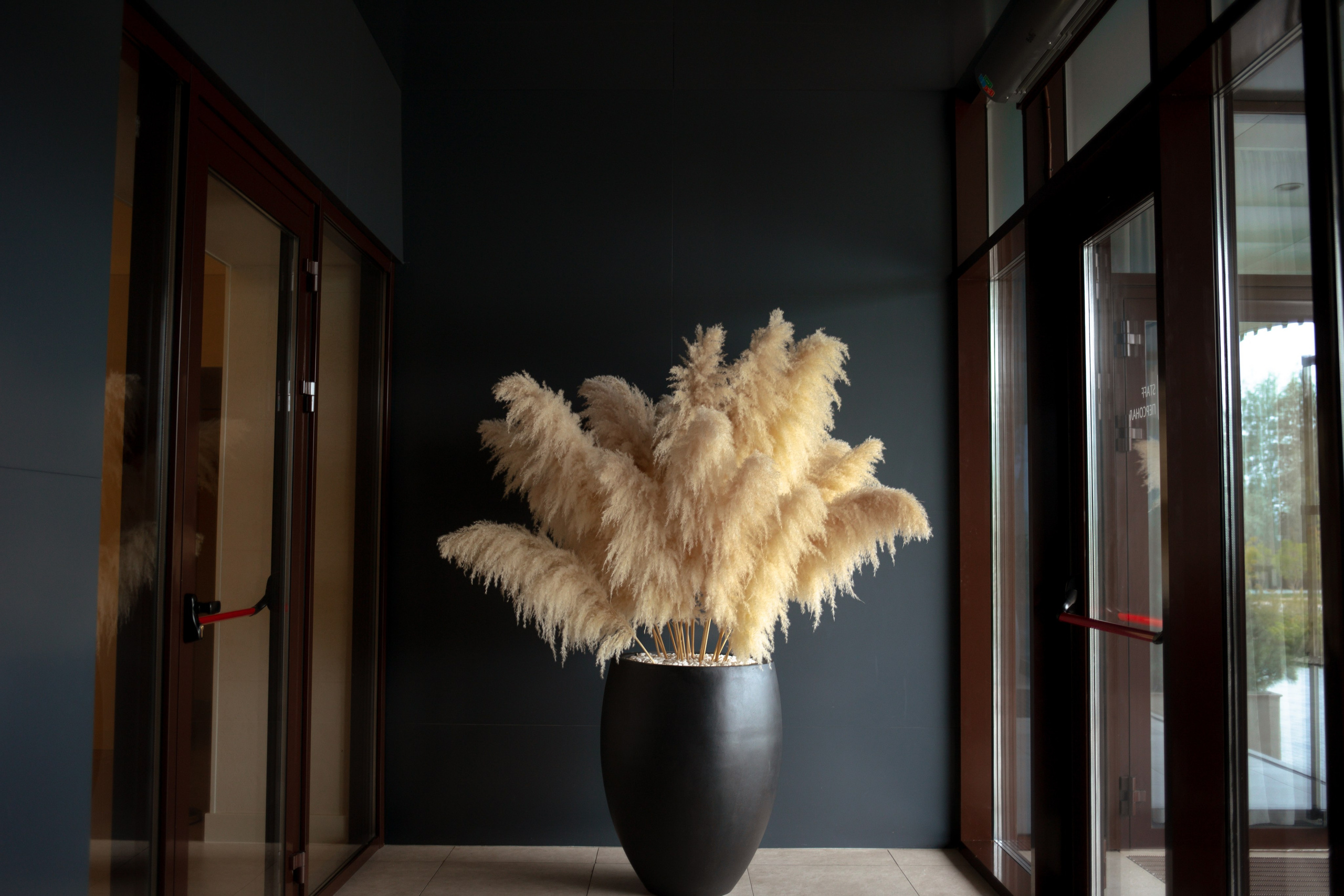 28.08.23. Свадебный фотограф Мария Жукова