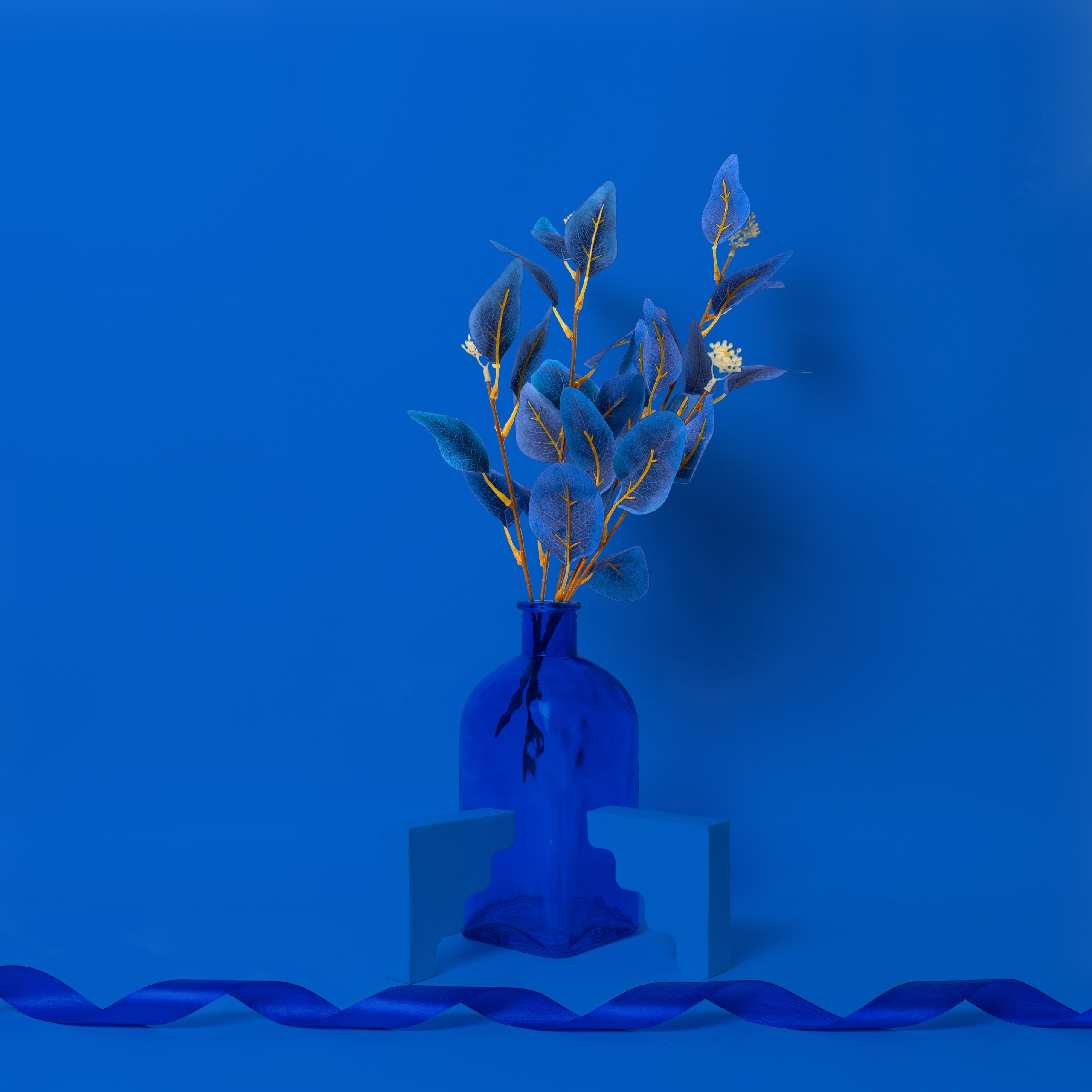 Авторский фотопроект «Сhroma». Эдуард Гаджиев — фотограф Москва