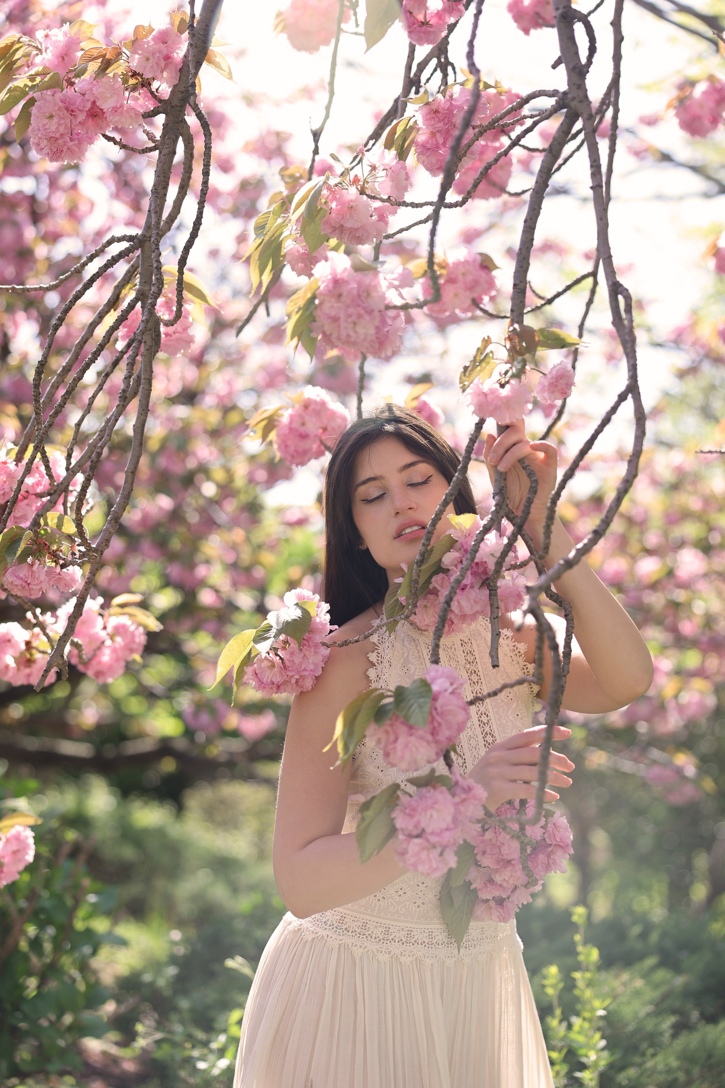 Busan Photographer. Photographer in Busan | Royal Cherry Blossom Solo Photoshoot