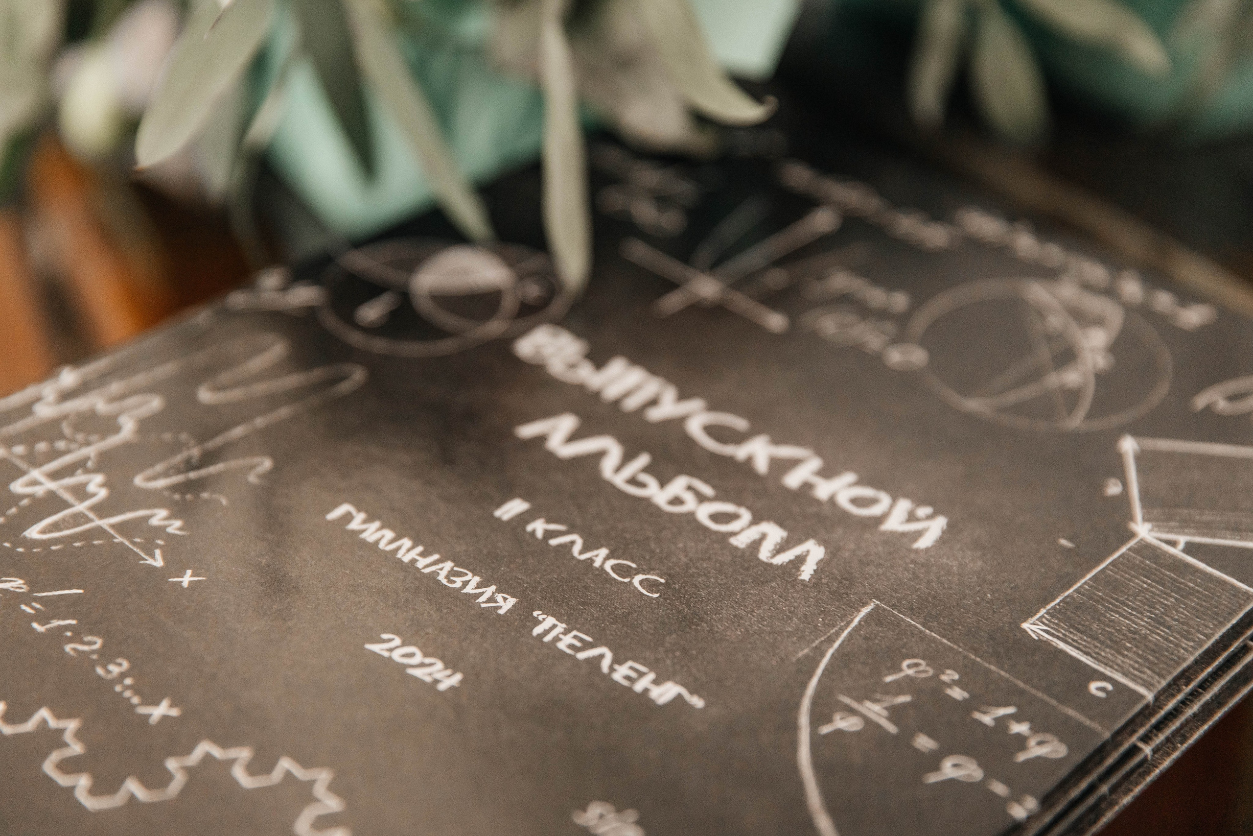 Гимназия Пеленг. _Carpe diem_