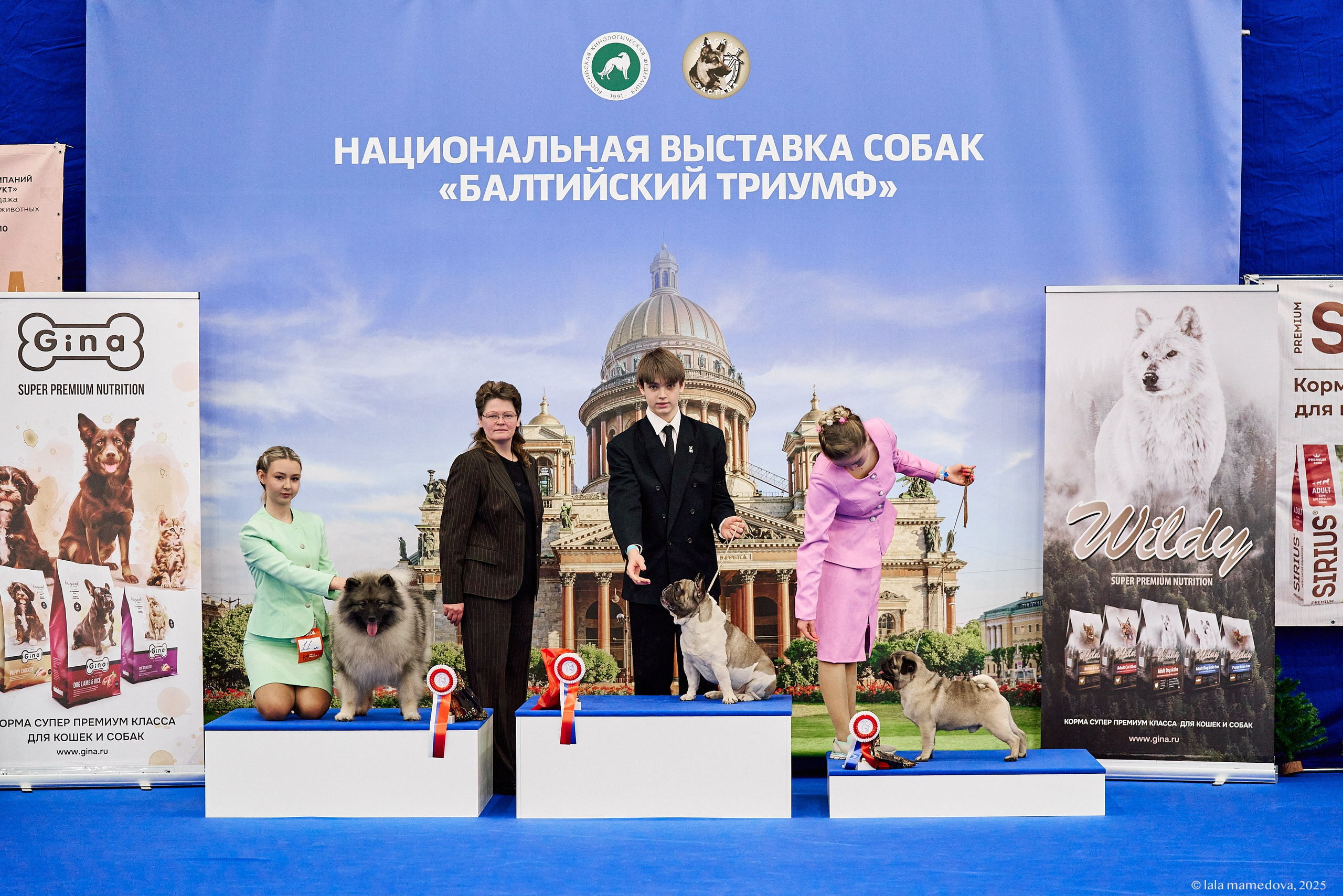 22-23 FEB 2025 | NATIONAL DOG SHOW «BALTIC TRIUMPH-2025»