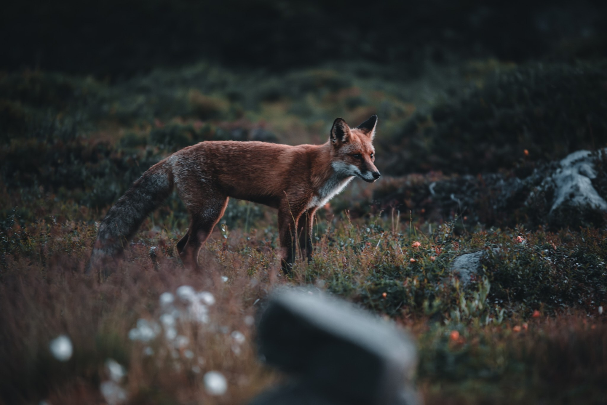 Север 2025. Внедорожные путешествия — OFFROADTRIP