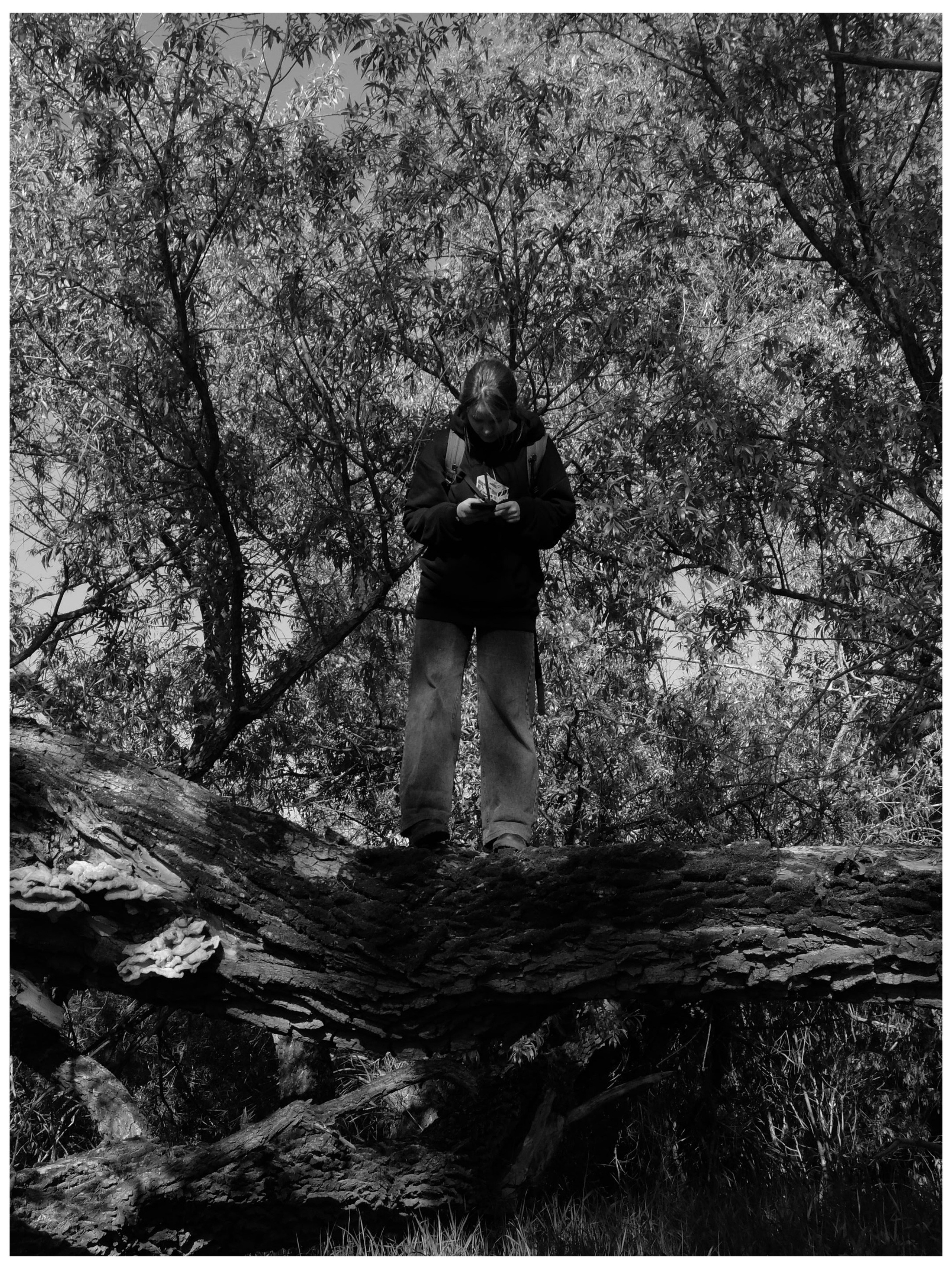 Промежуточные моменты (2022)