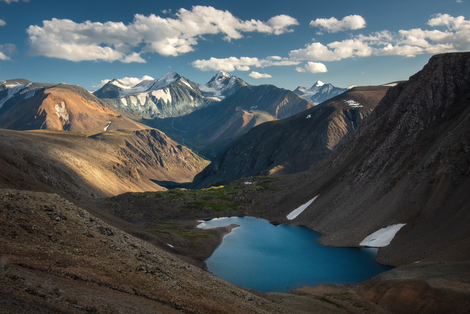 Жемчужина рыжих осыпей. Кош-Агачский район, август 2024