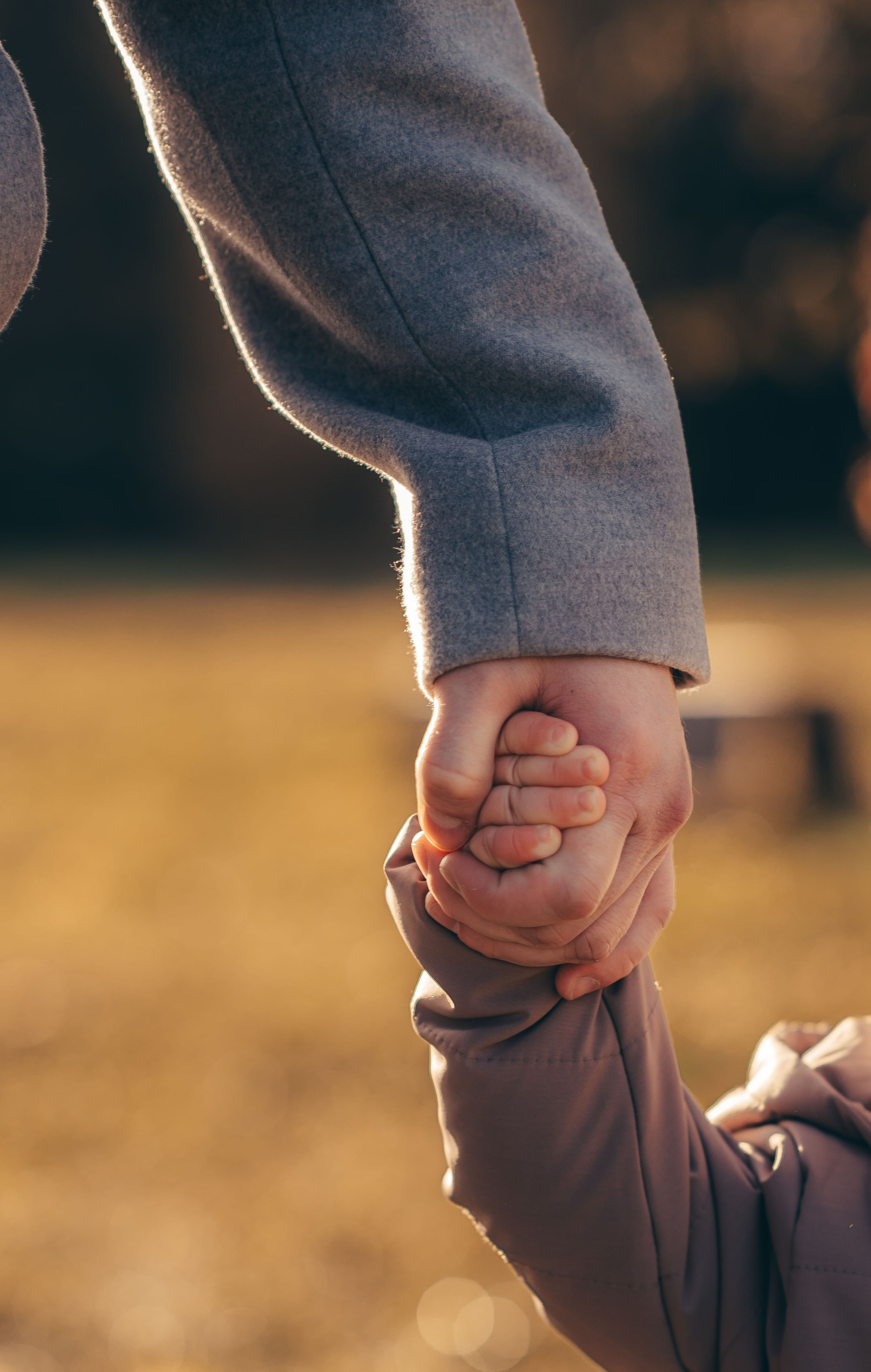 Осень в парке. Семейный фотограф в Домодедово и Москве Елена Пичугина