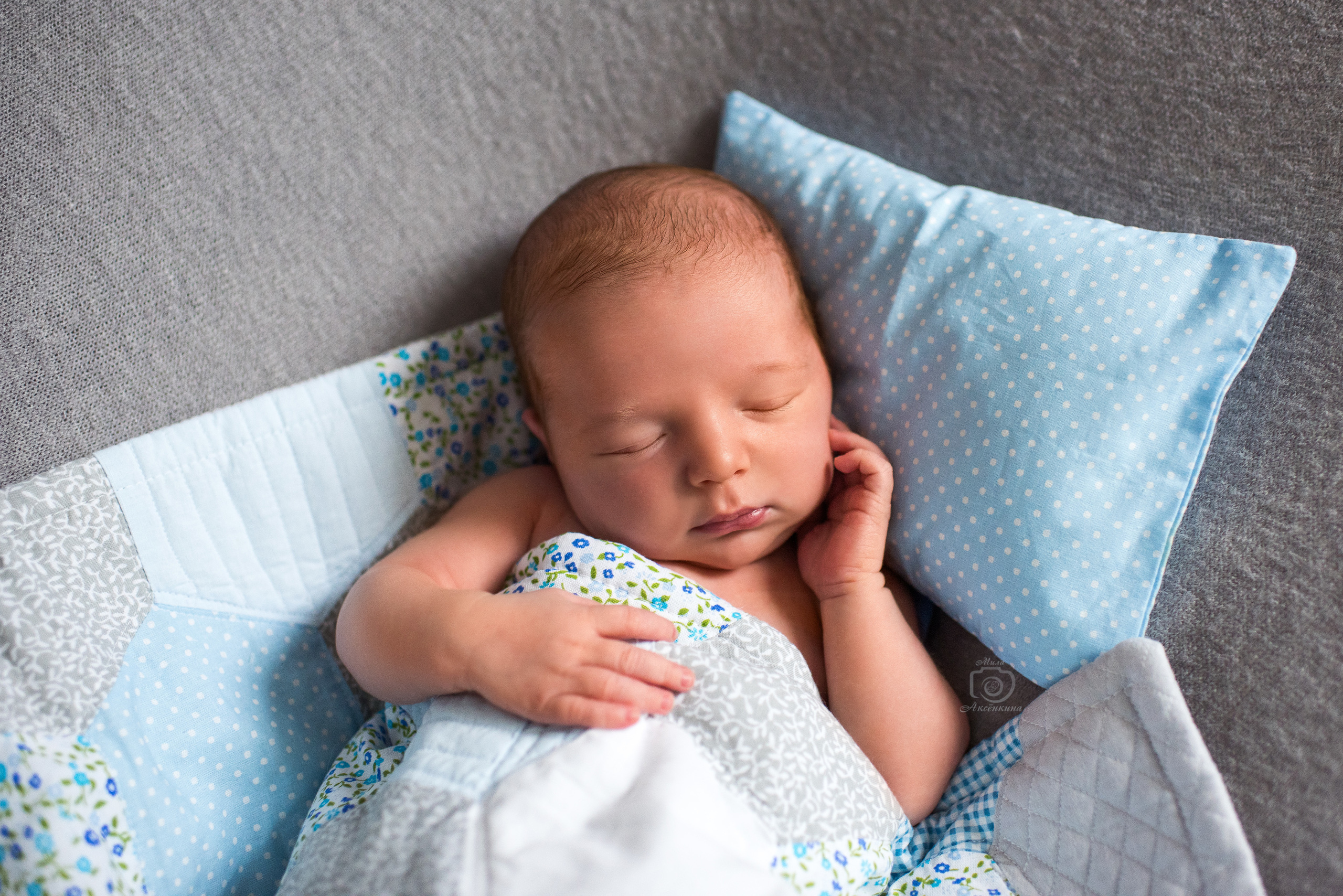 Портфолио новорожденных. Фотограф в Нефтеюганске Мила Аксёнкина