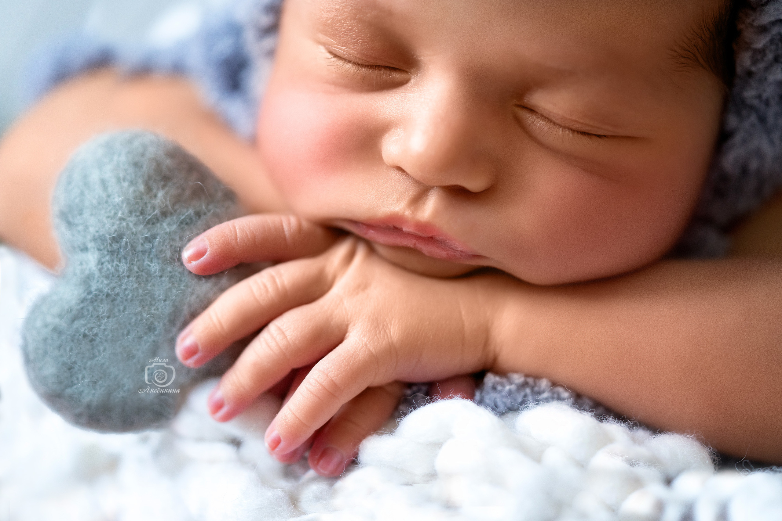 Портфолио новорожденных. Фотограф в Нефтеюганске Мила Аксёнкина