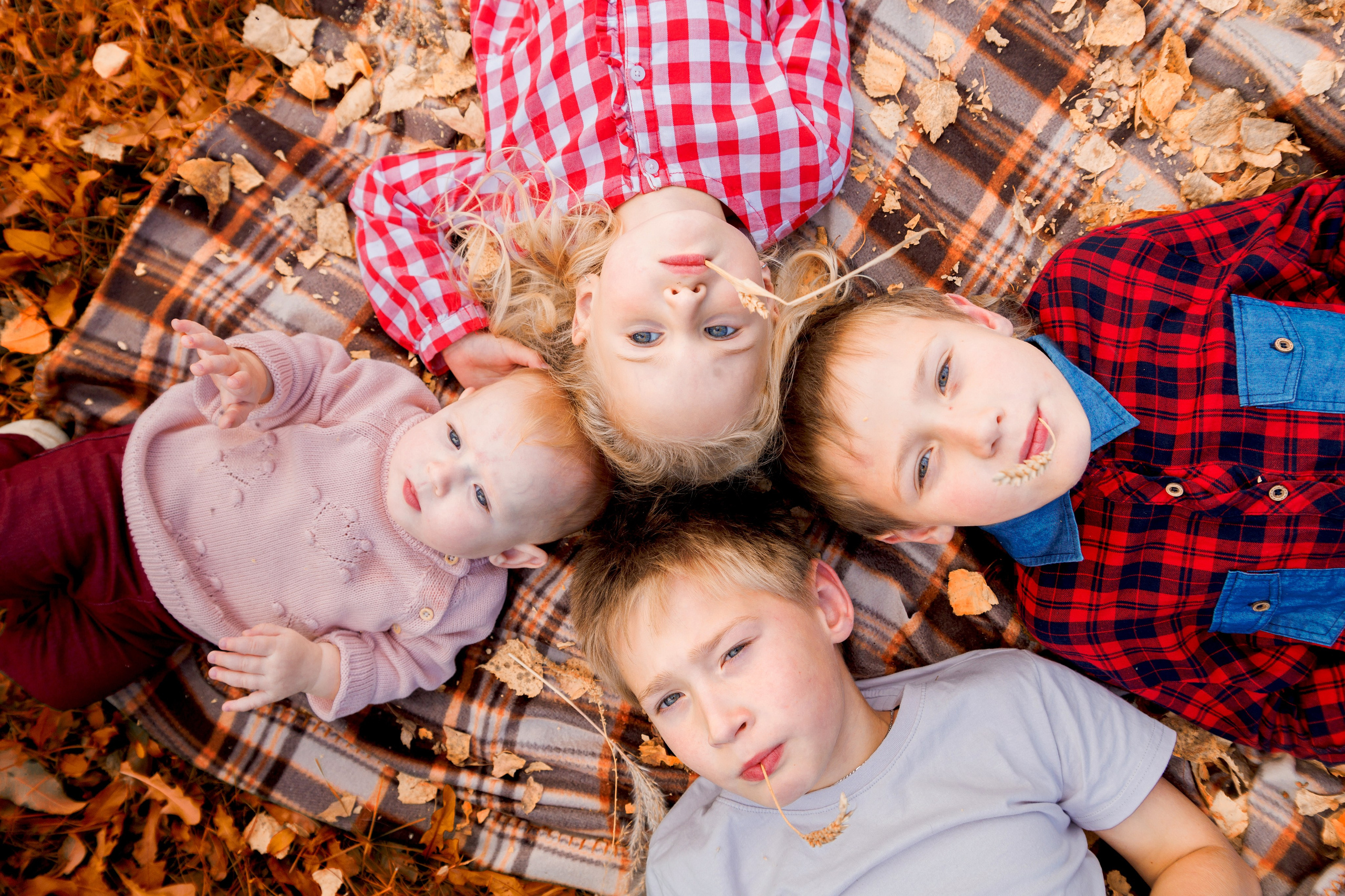 Детский и семейный фотограф в Бердске и Новосибирске Дарья Гребнева