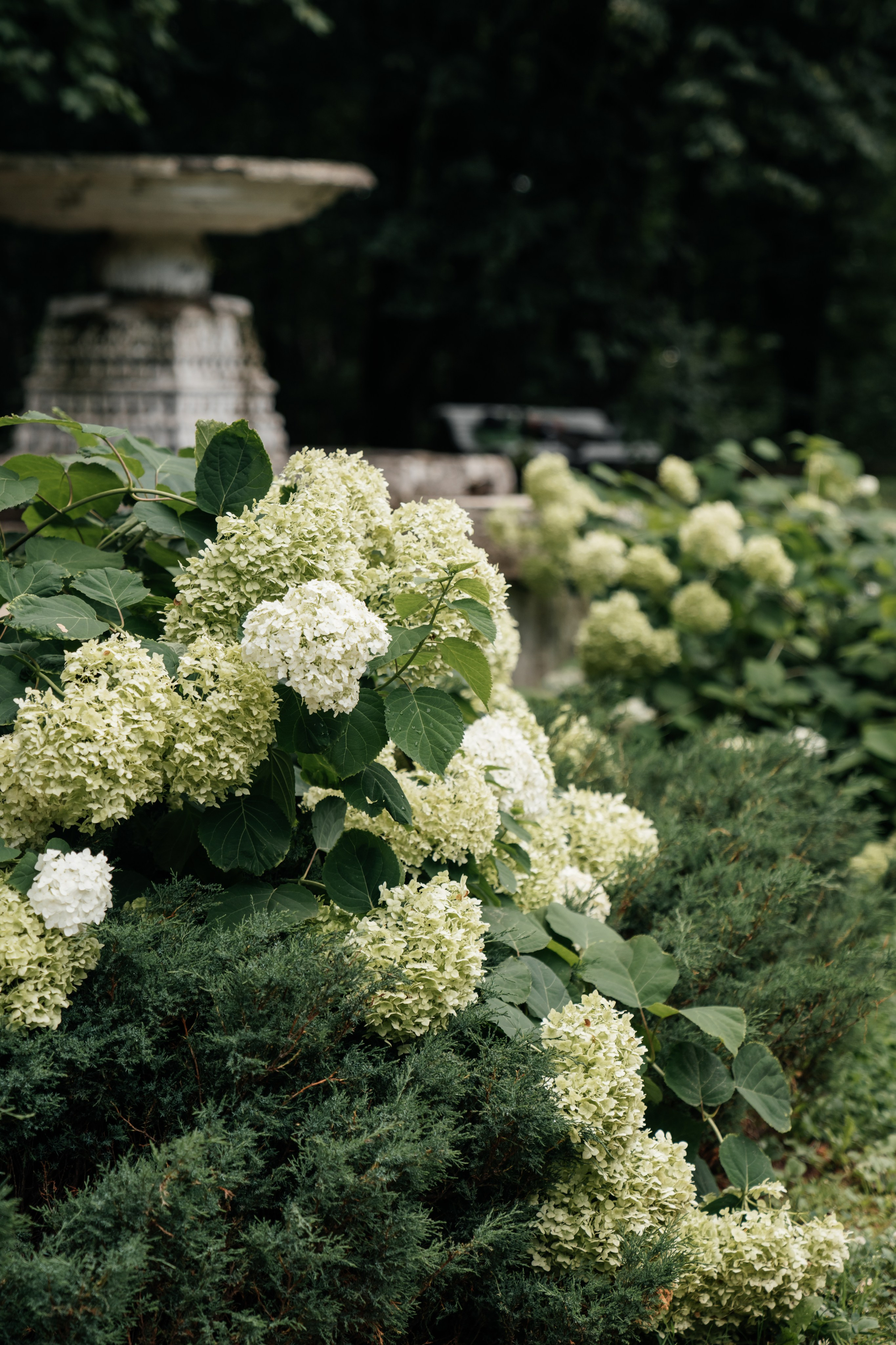 В парке. Евгения Арефьева — свадебный и портретный фотограф в Чите