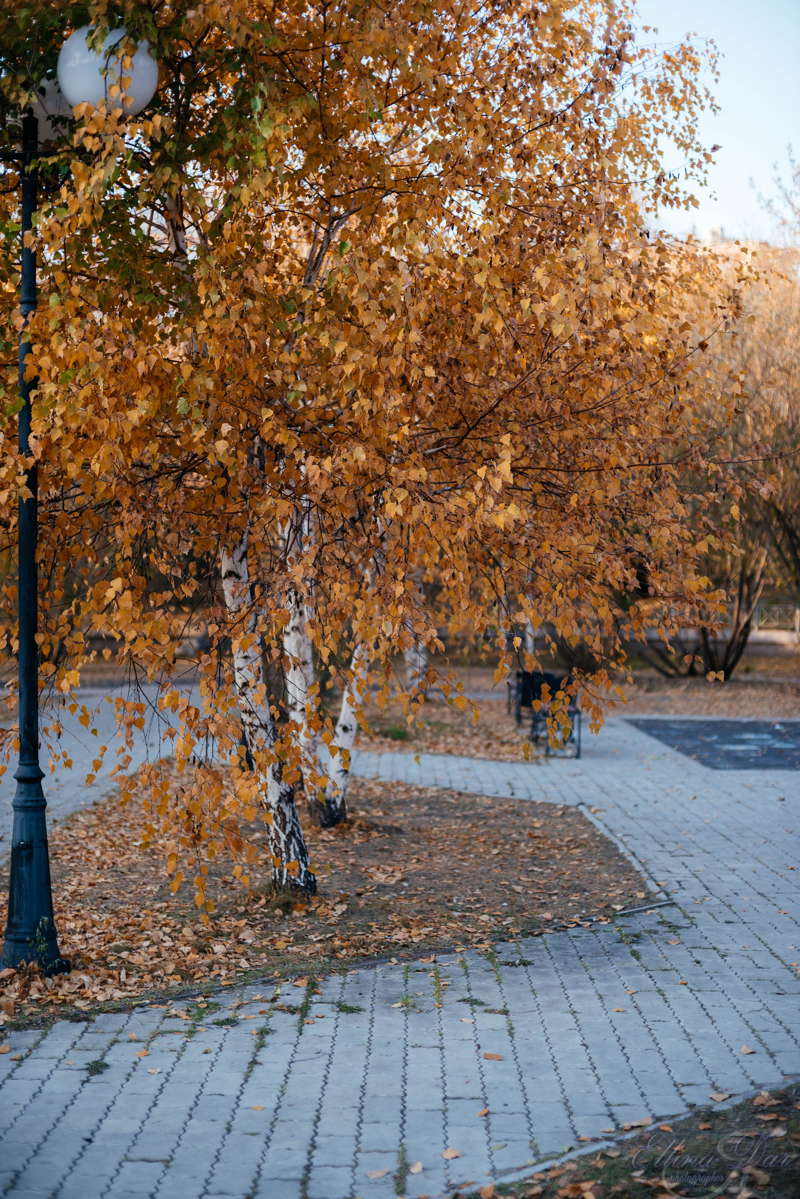 Аюмишка. Фотограф Эллина Дар г. Улан-Удэ