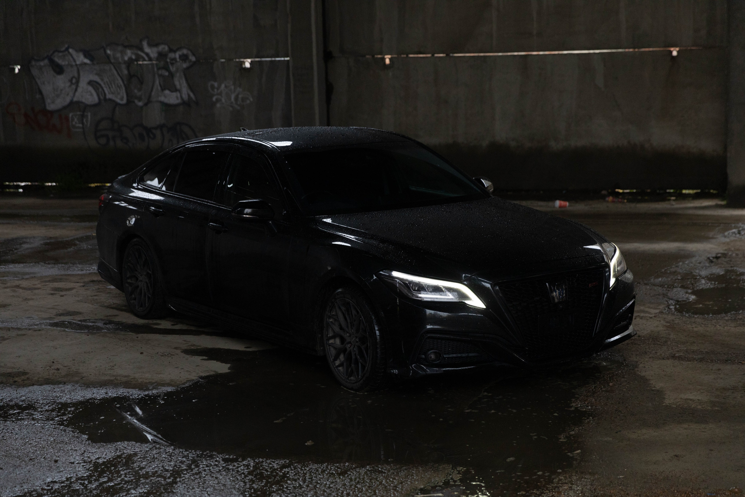 CROWS. Репортажный фотограф в Иркутске — Ярослав Ковалёв