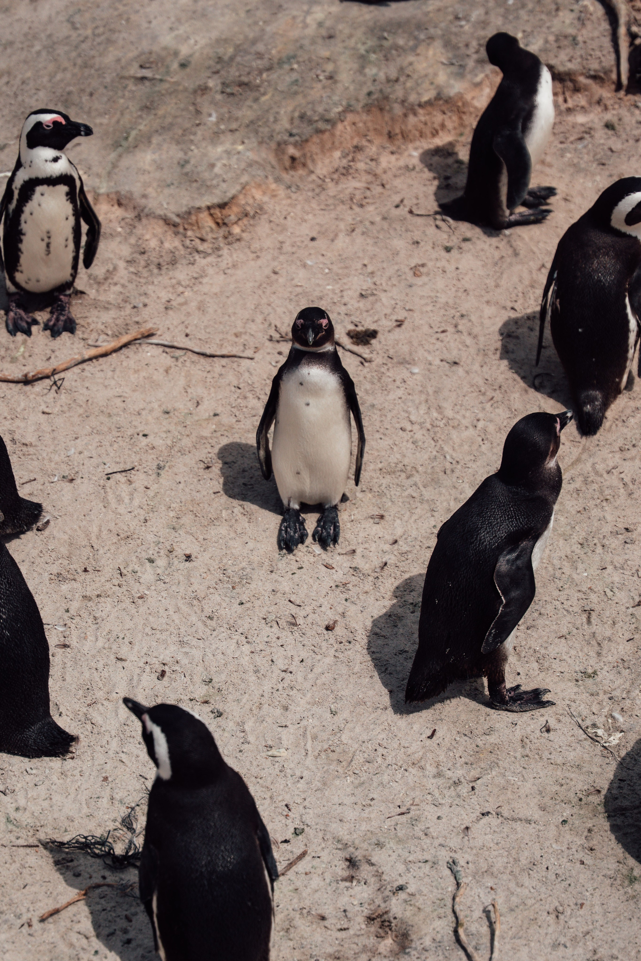 Africa/UAR. @oljiofilm: Олег Иванов — фотограф