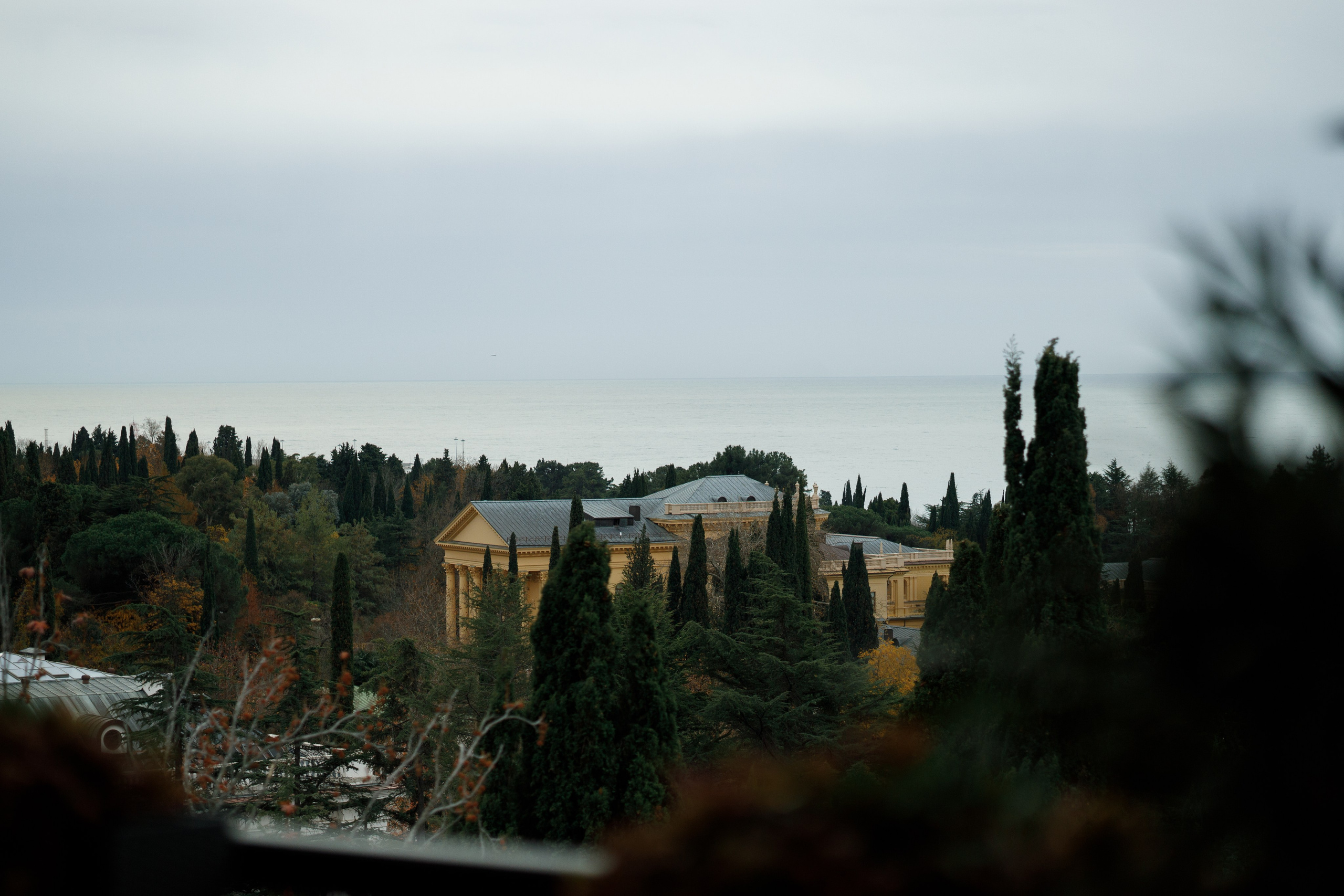 Дима Даша. Свадебный и семейный фотограф в Краснодаре и крае