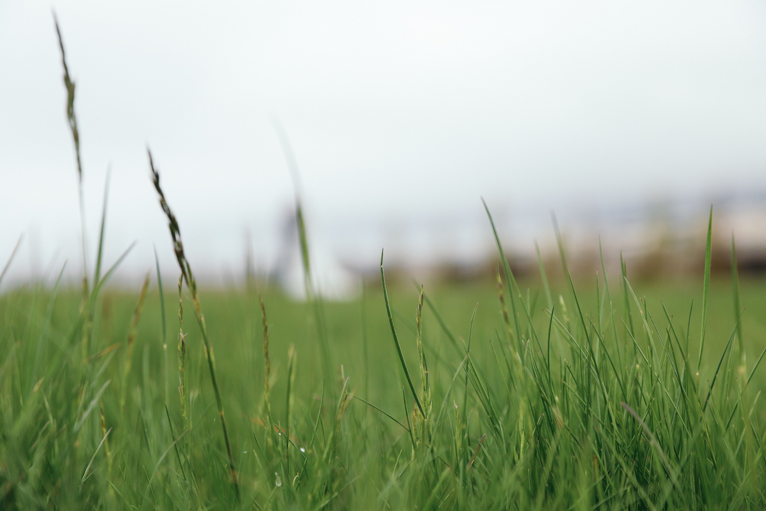 Анонс свадьба Владимир и Анастасия. Свадебный и семейный фотограф в Севастополе и Крыму Анастасия Сураева