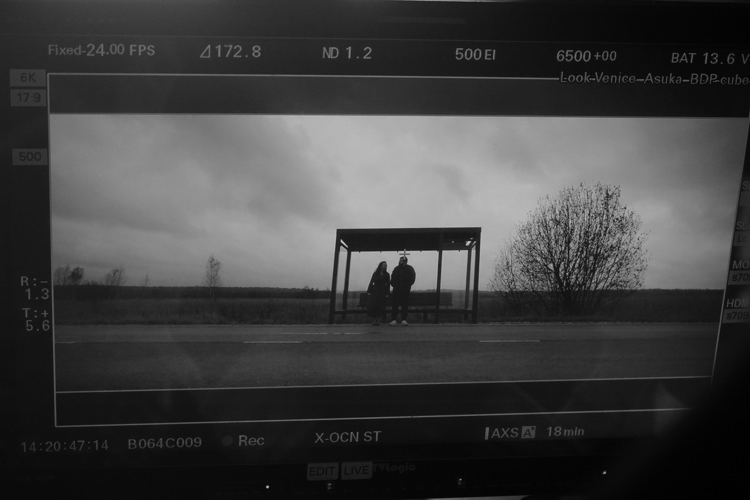 За кадром — КФ " Я женил своих родителей ". Beardy Pix