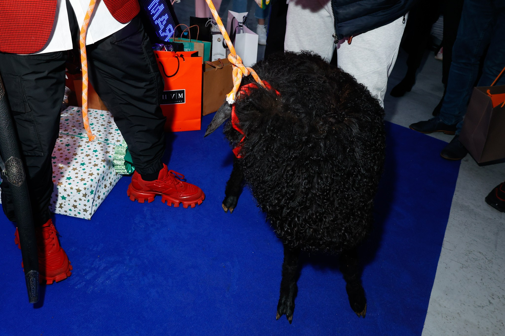 ДИМА ГОРДЕЙ. Nikolskayasecular