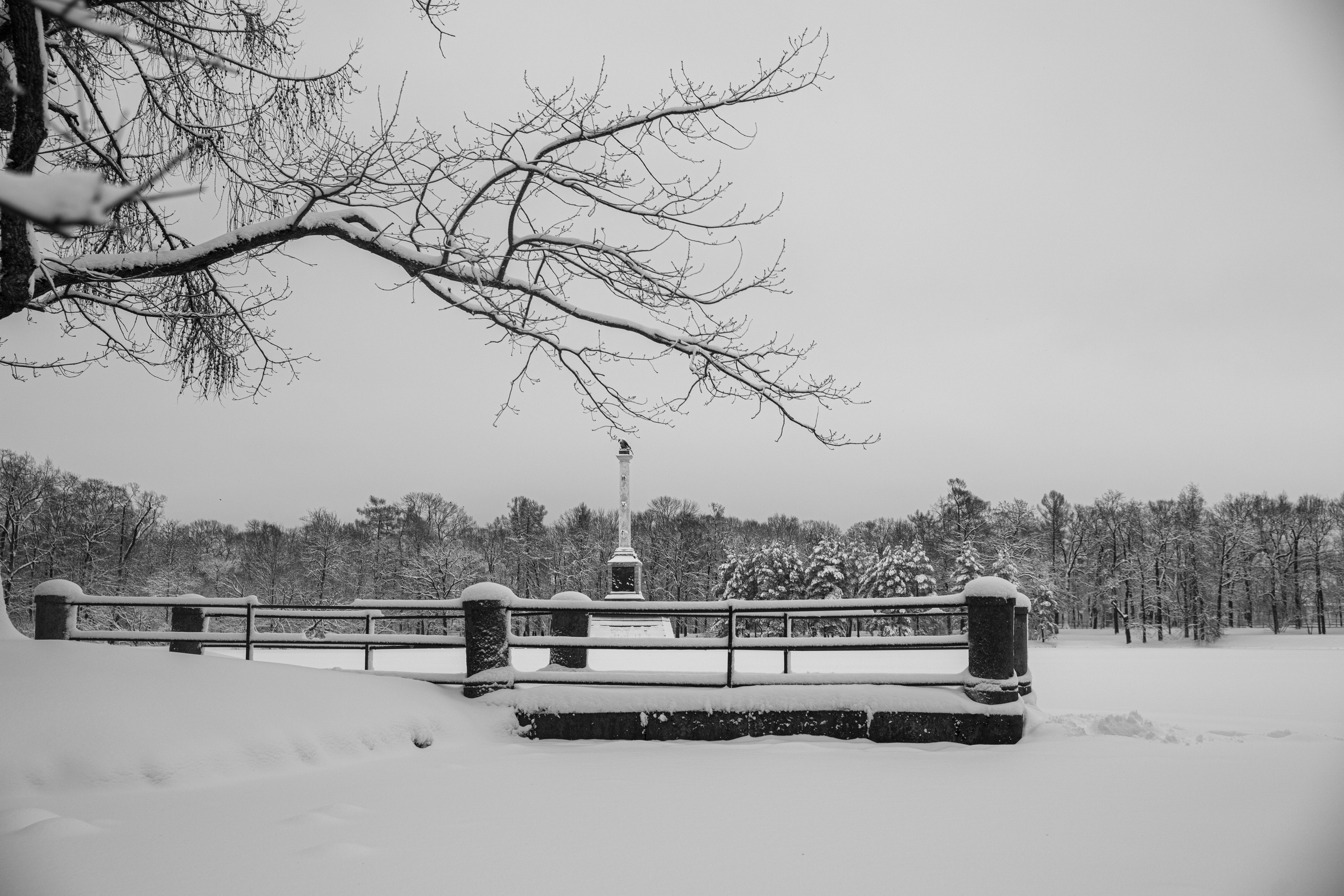 Фото с прогулок и с поездок на Кольский полуостров