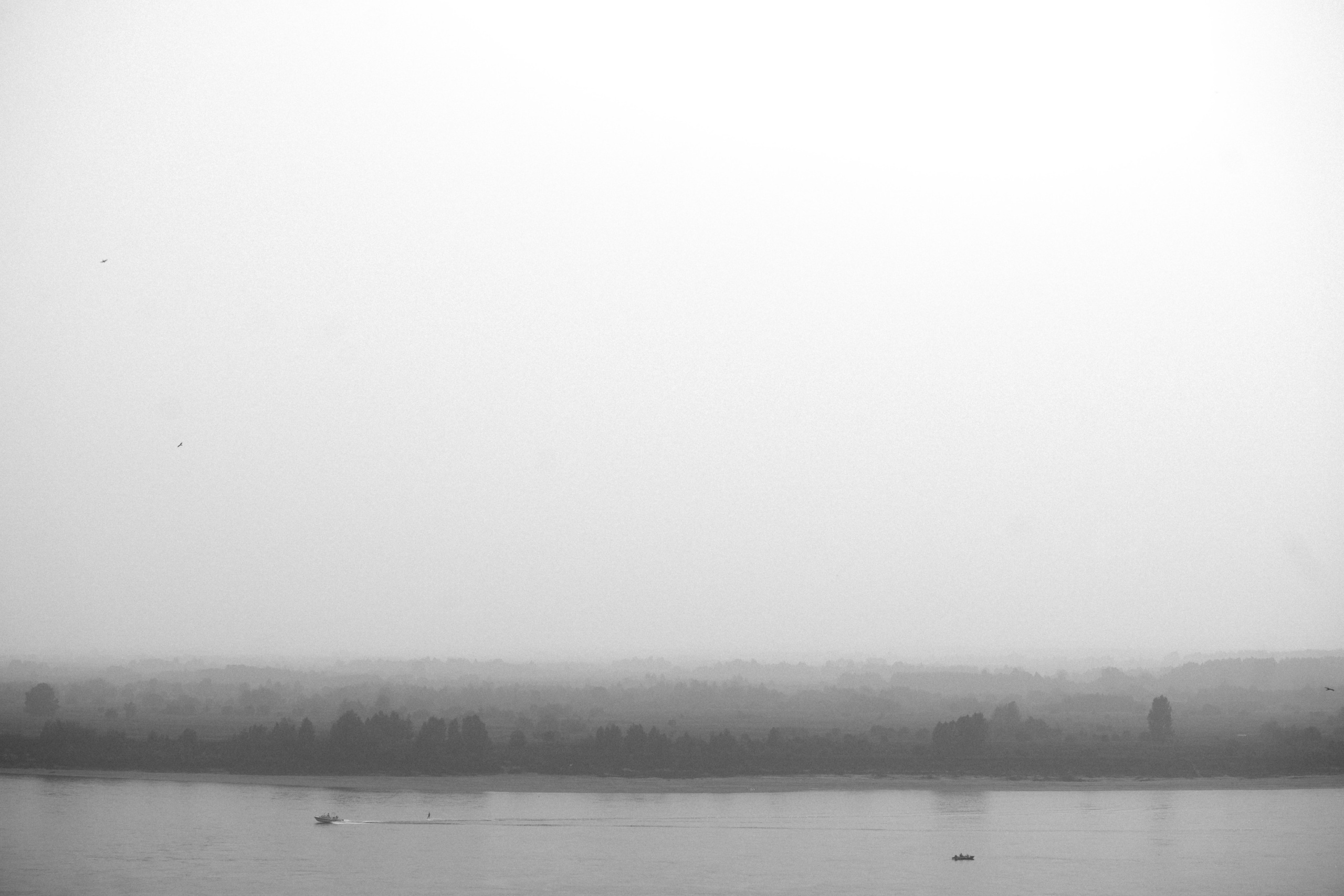 Лагерный сад, Томск. Veronika Popadeikina Photographer