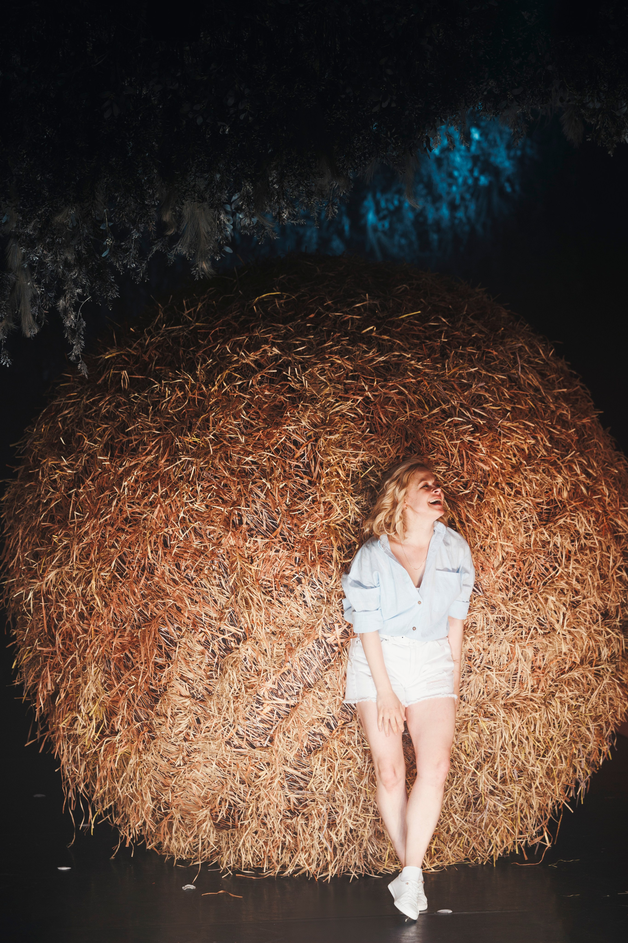 «Собака на сене», Театр на Садовой (Приют Комедианта)