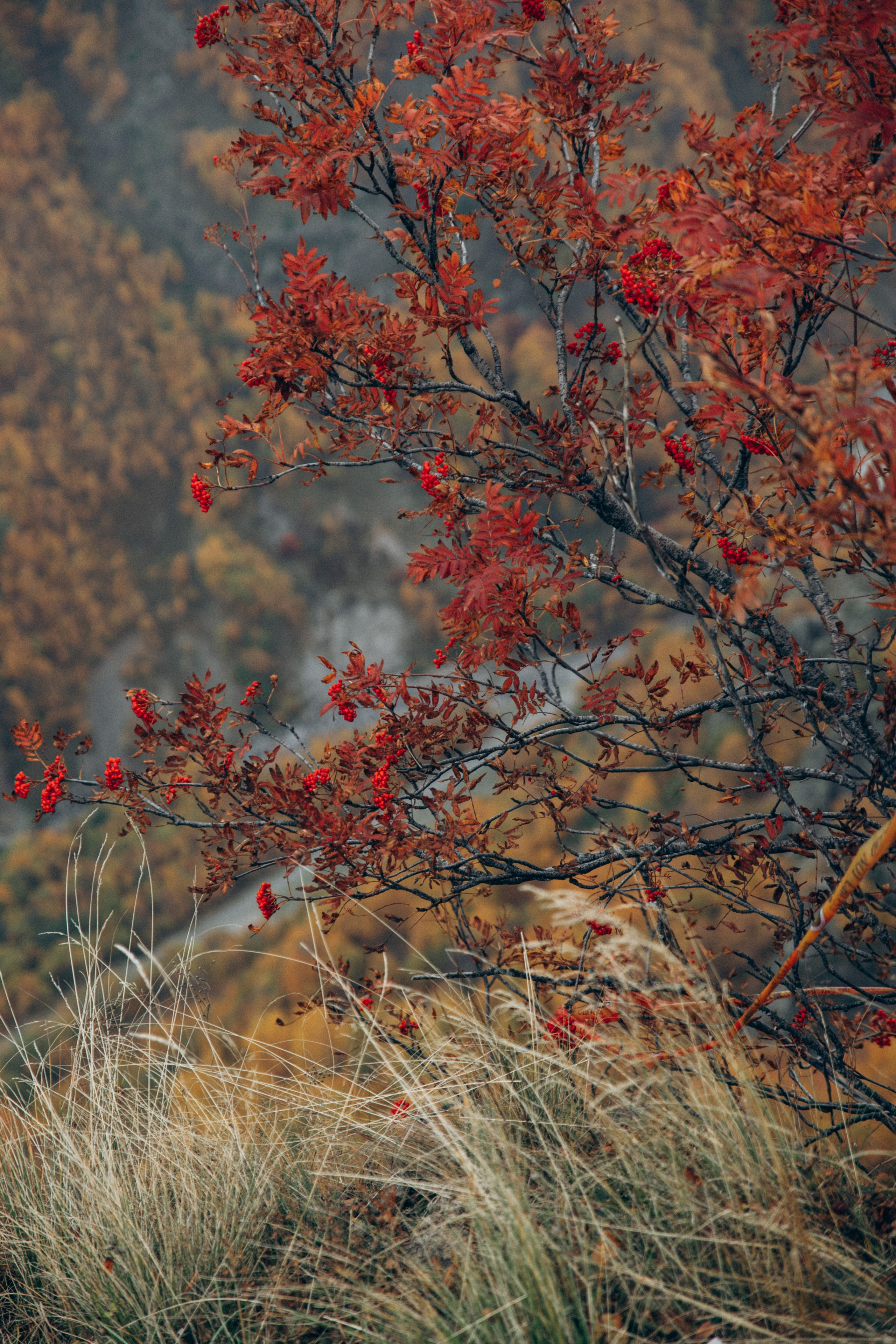 Грузия. Репортажный и детский фотограф в Минске