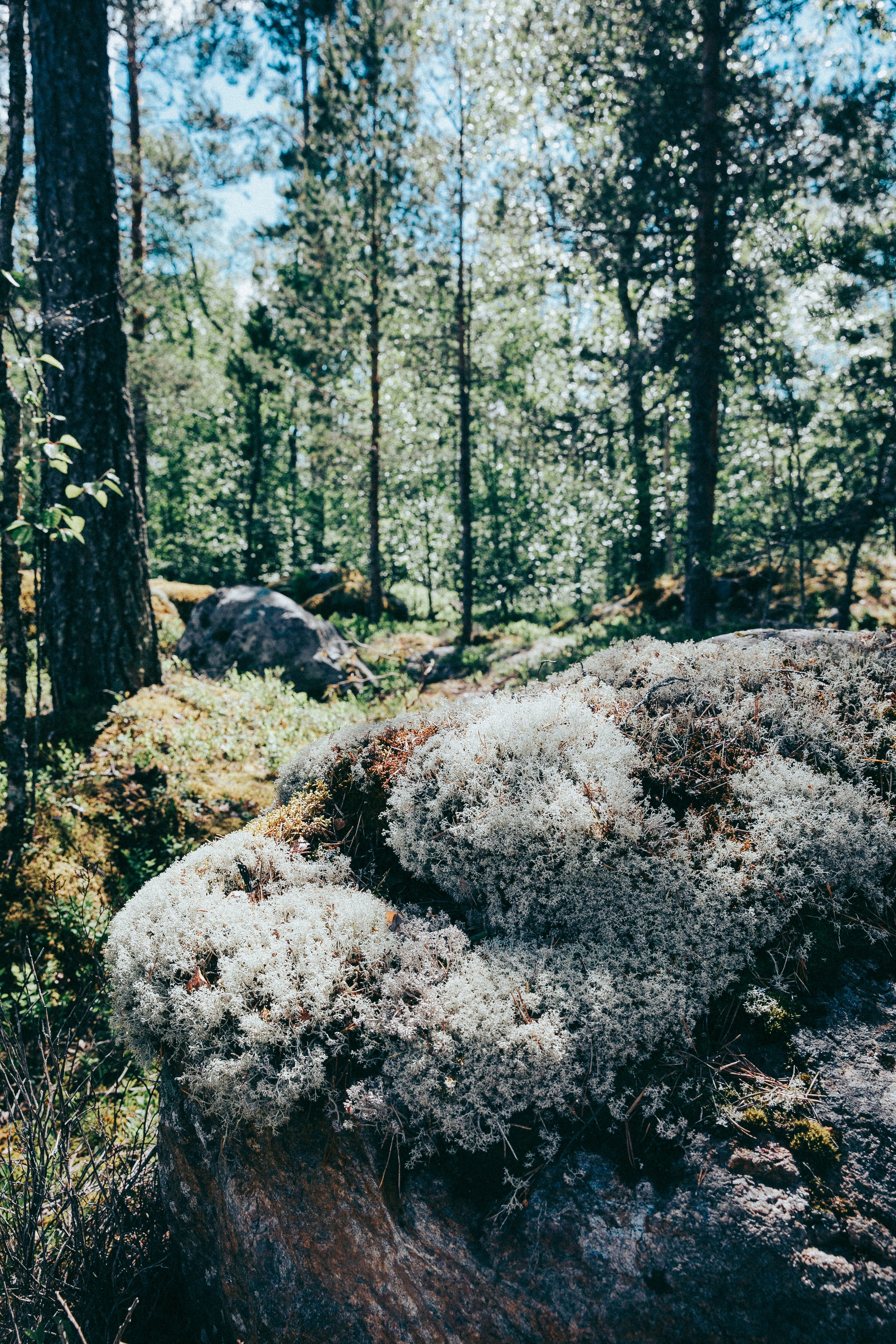 Папа и дочка. Фотограф в Москве Шаганова Нина