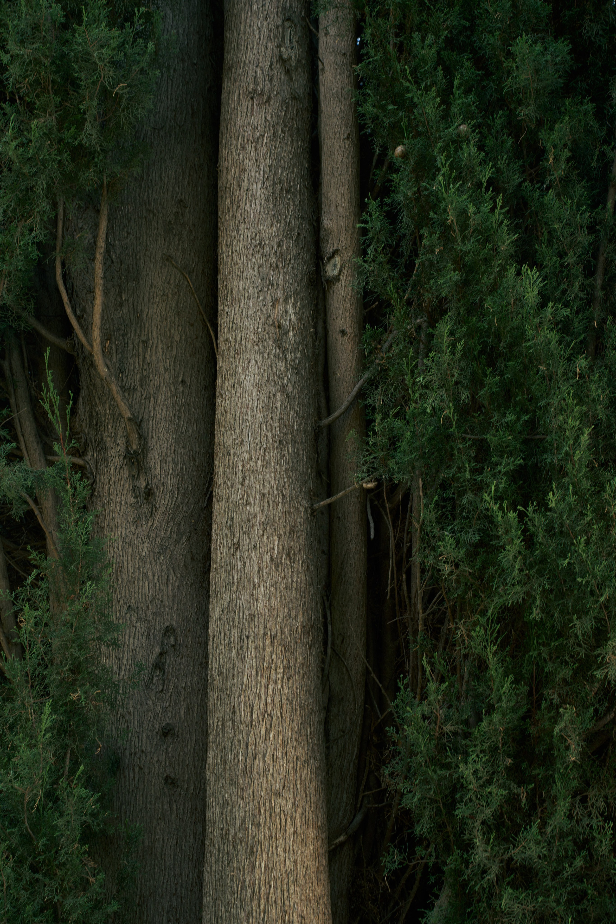 CRIMEA. ФОТОГРАФ ЕКАТЕРИНБУРГ