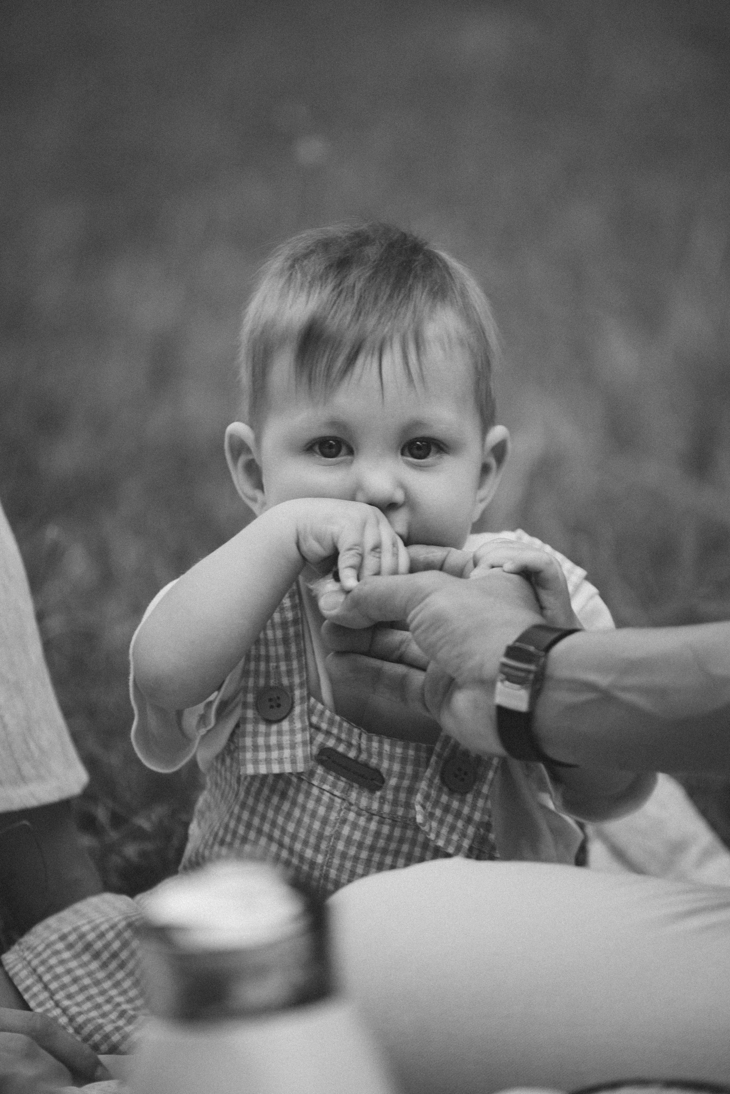 Пикник одним летним вечером. Семейный фотограф в г. Ставрополь, Сорокина Мария
